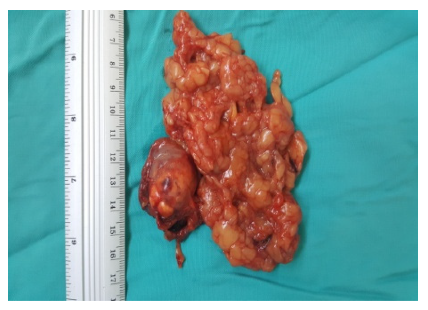 Diagnostics 13 03351 g008