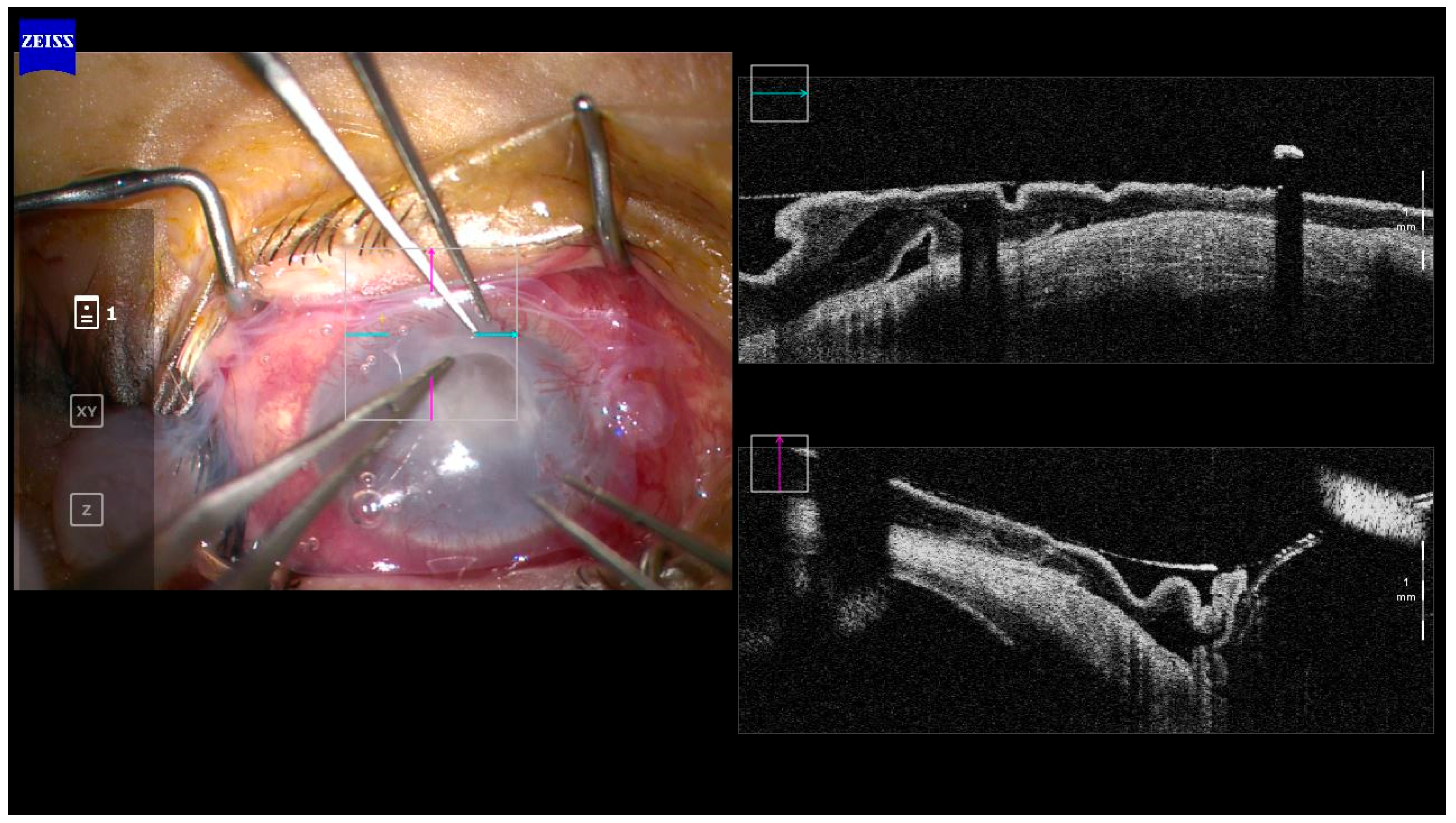 Diagnostics 13 03358 g002