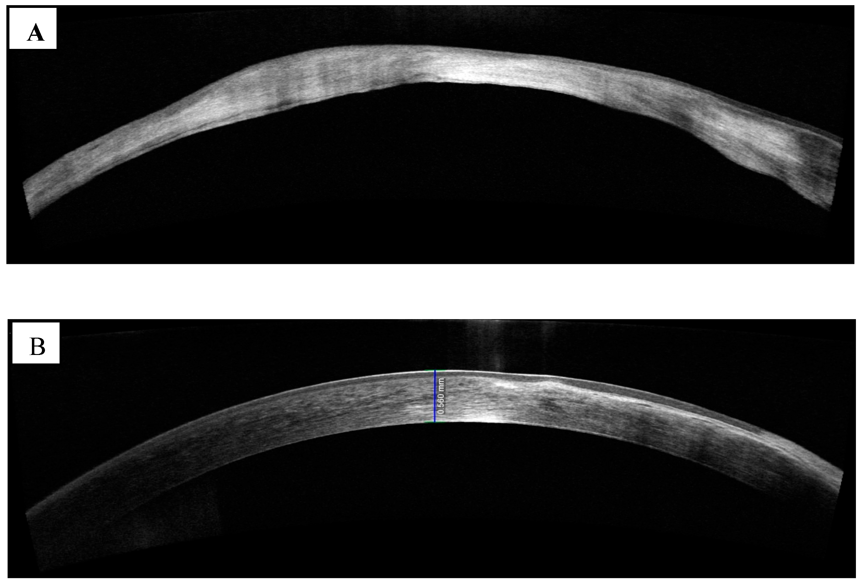 Diagnostics 13 03358 g003