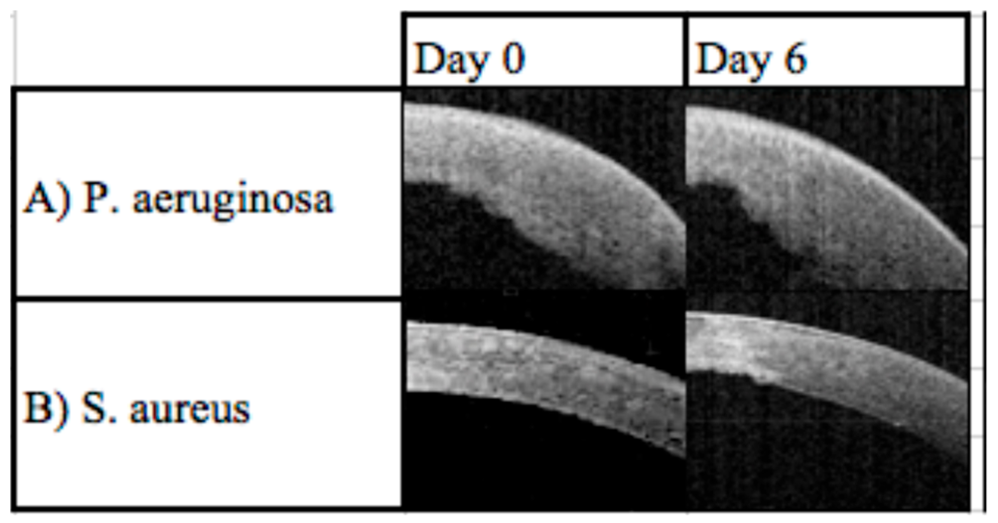 Diagnostics 13 03358 g005