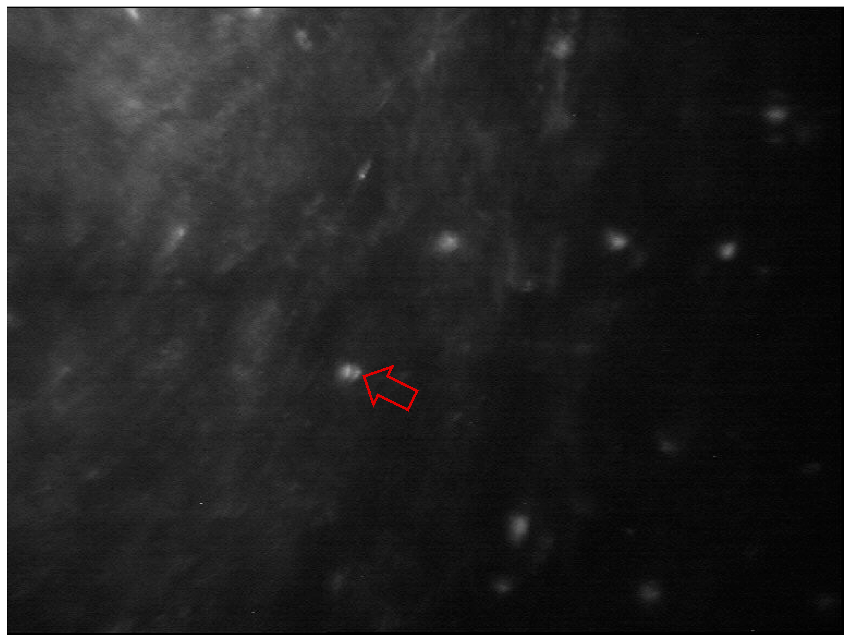 Diagnostics 13 03358 g007