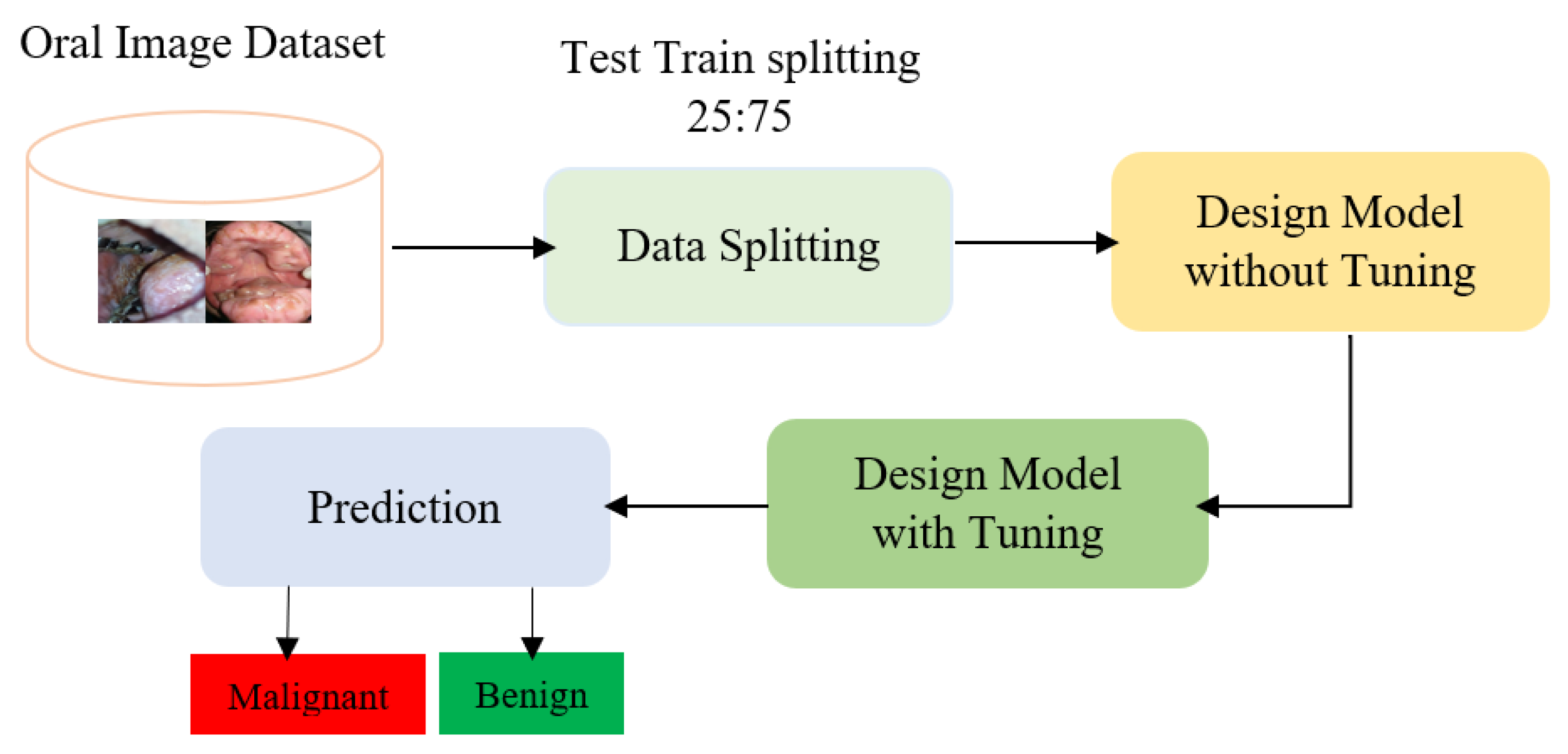Diagnostics 13 03360 g001