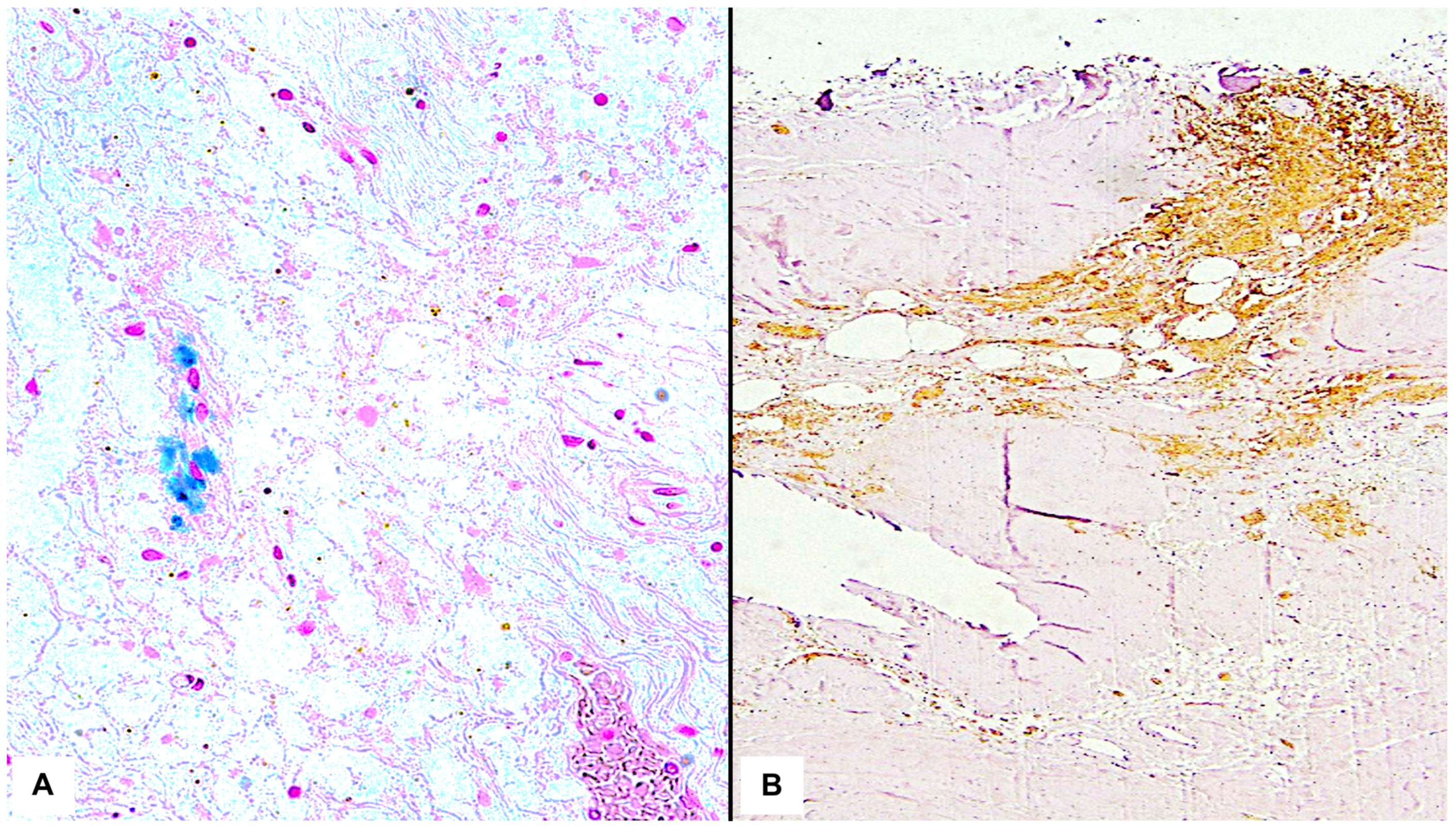 Diagnostics 13 03361 g002