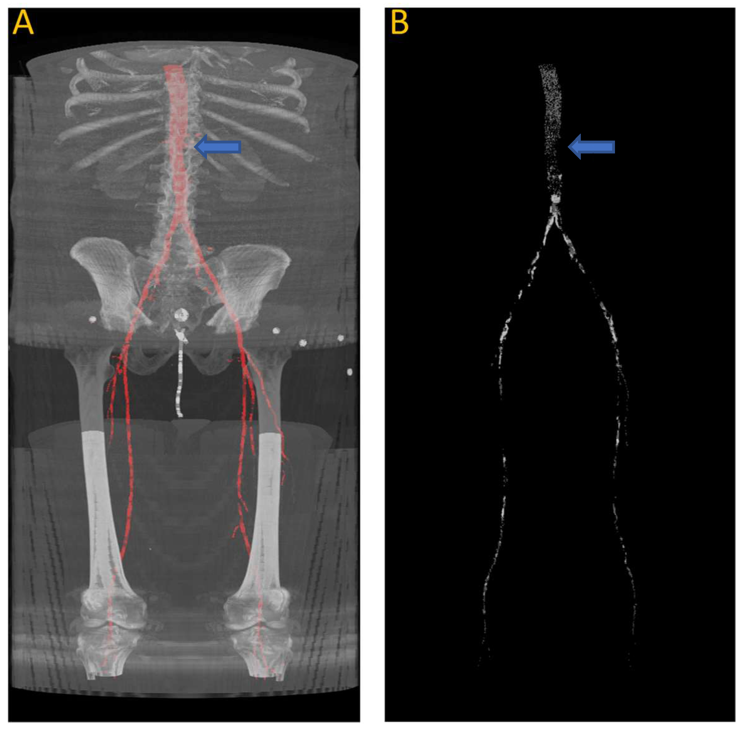 Diagnostics 13 03363 g009