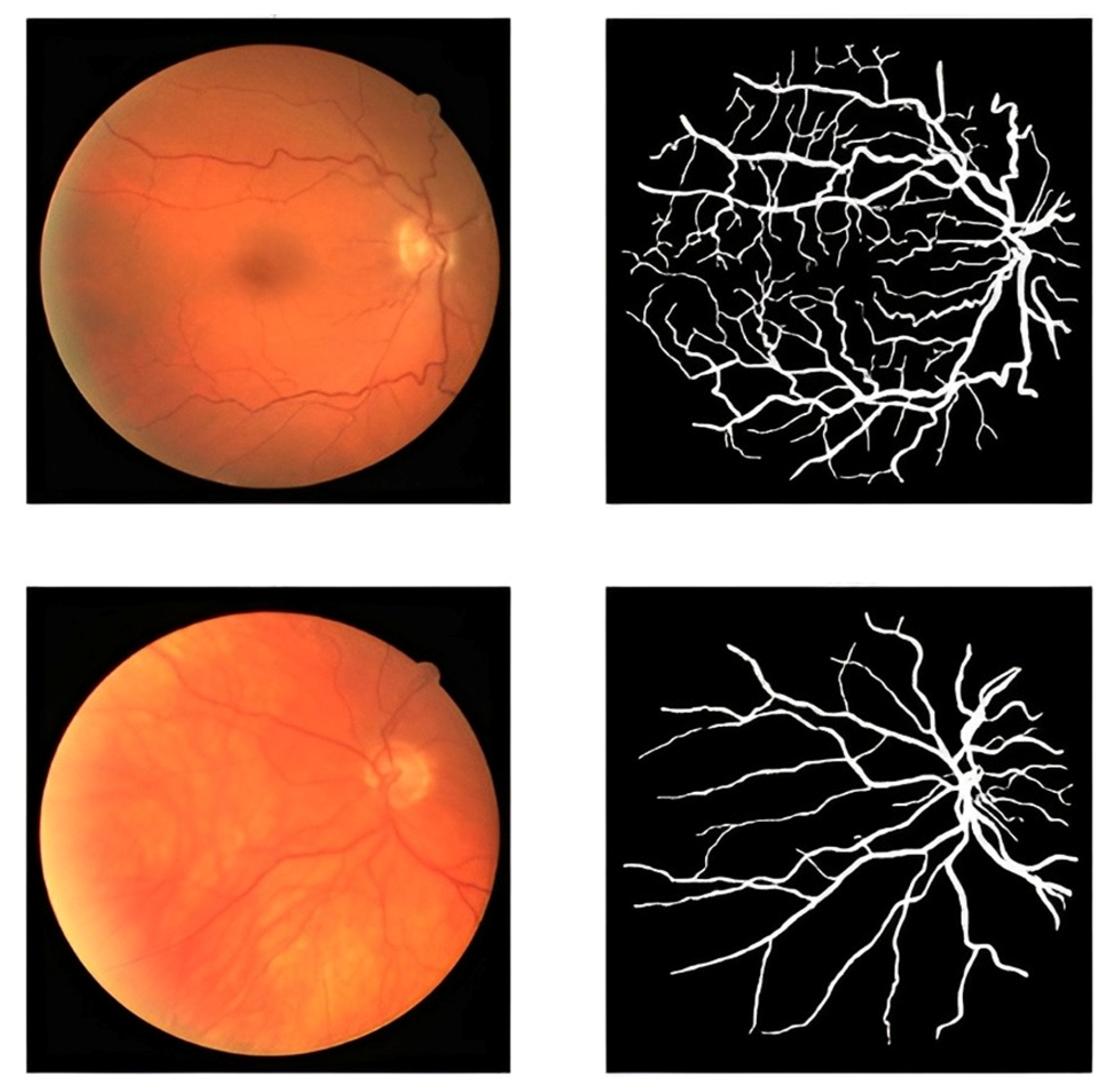 Diagnostics 13 03364 g002
