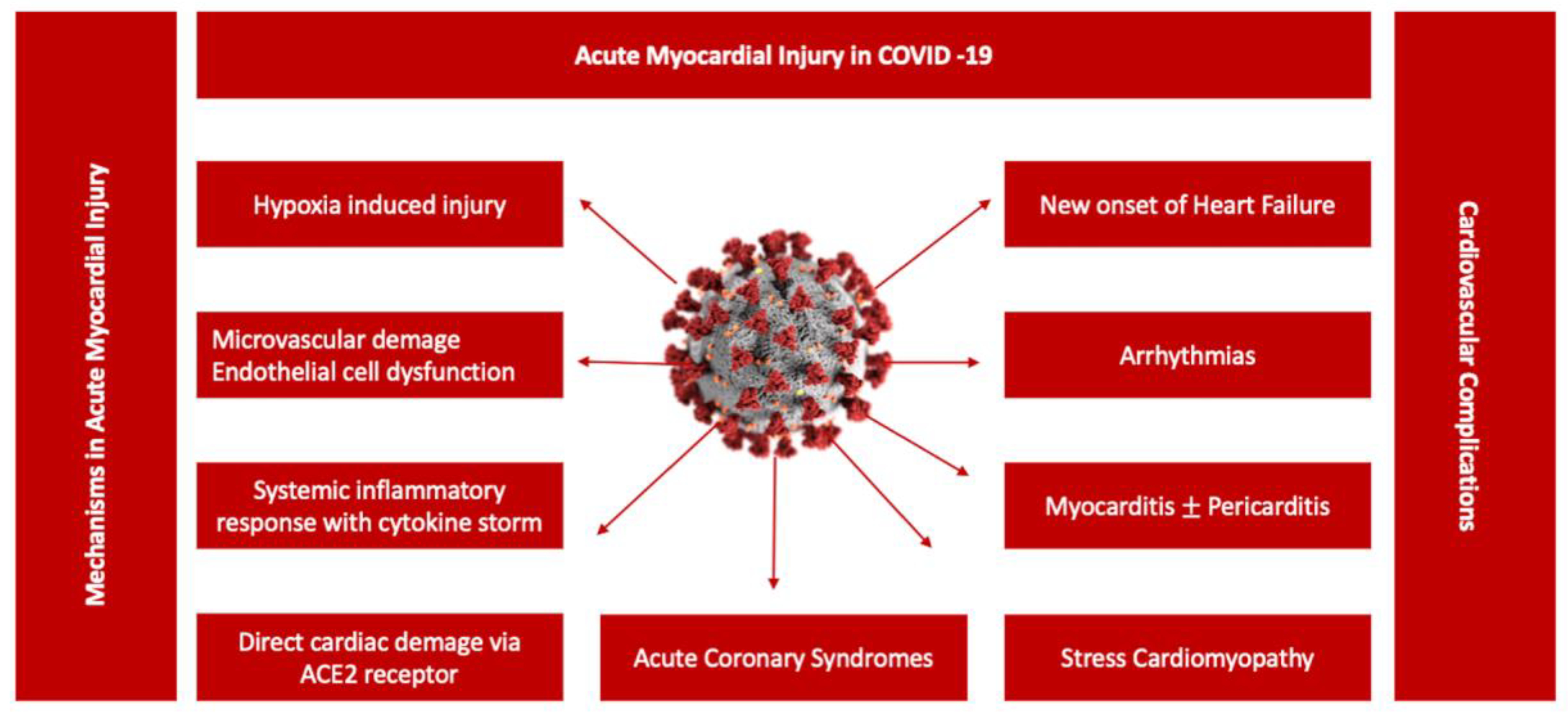 Diagnostics 13 03368 g002