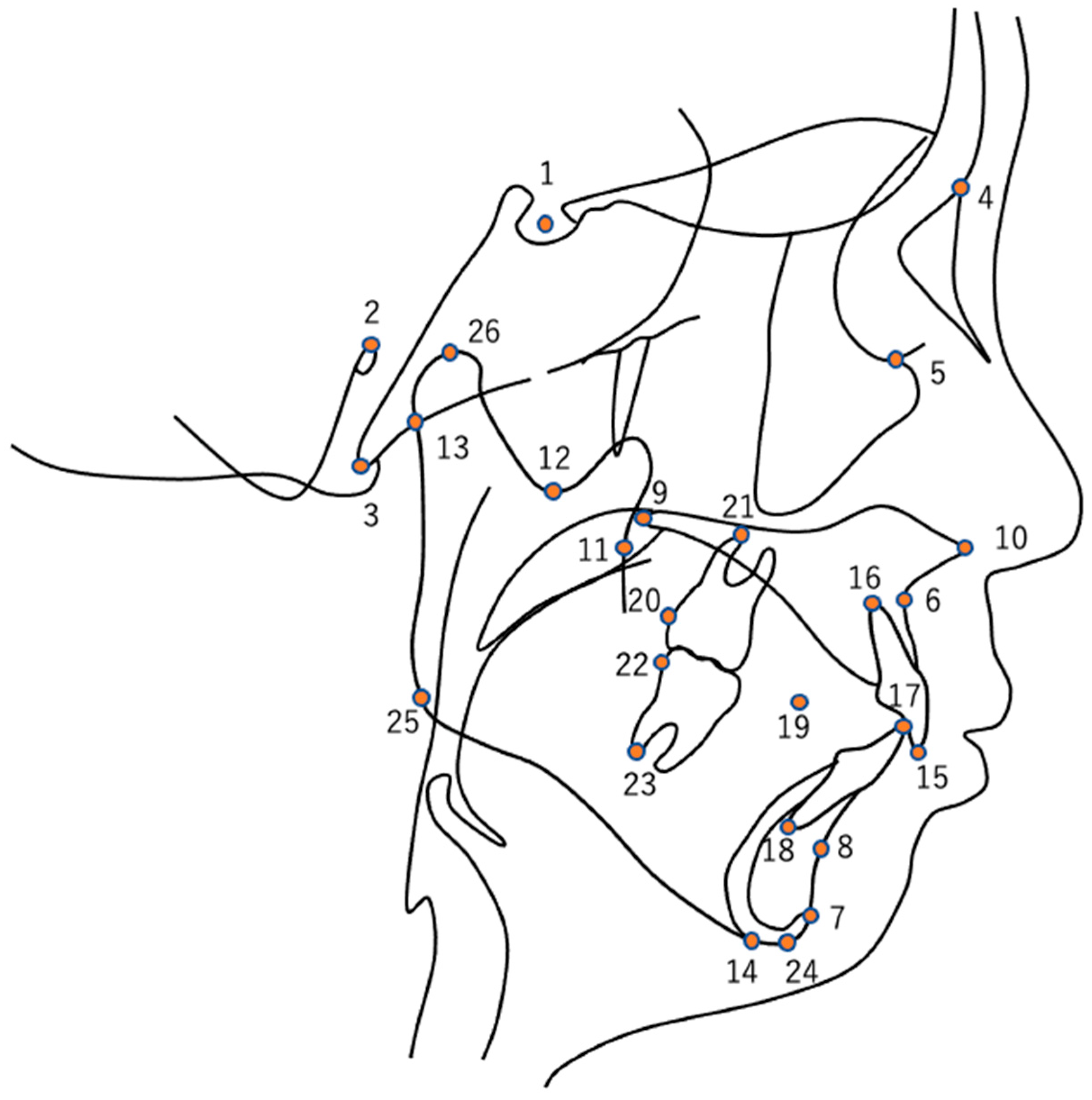 Diagnostics 13 03369 g001