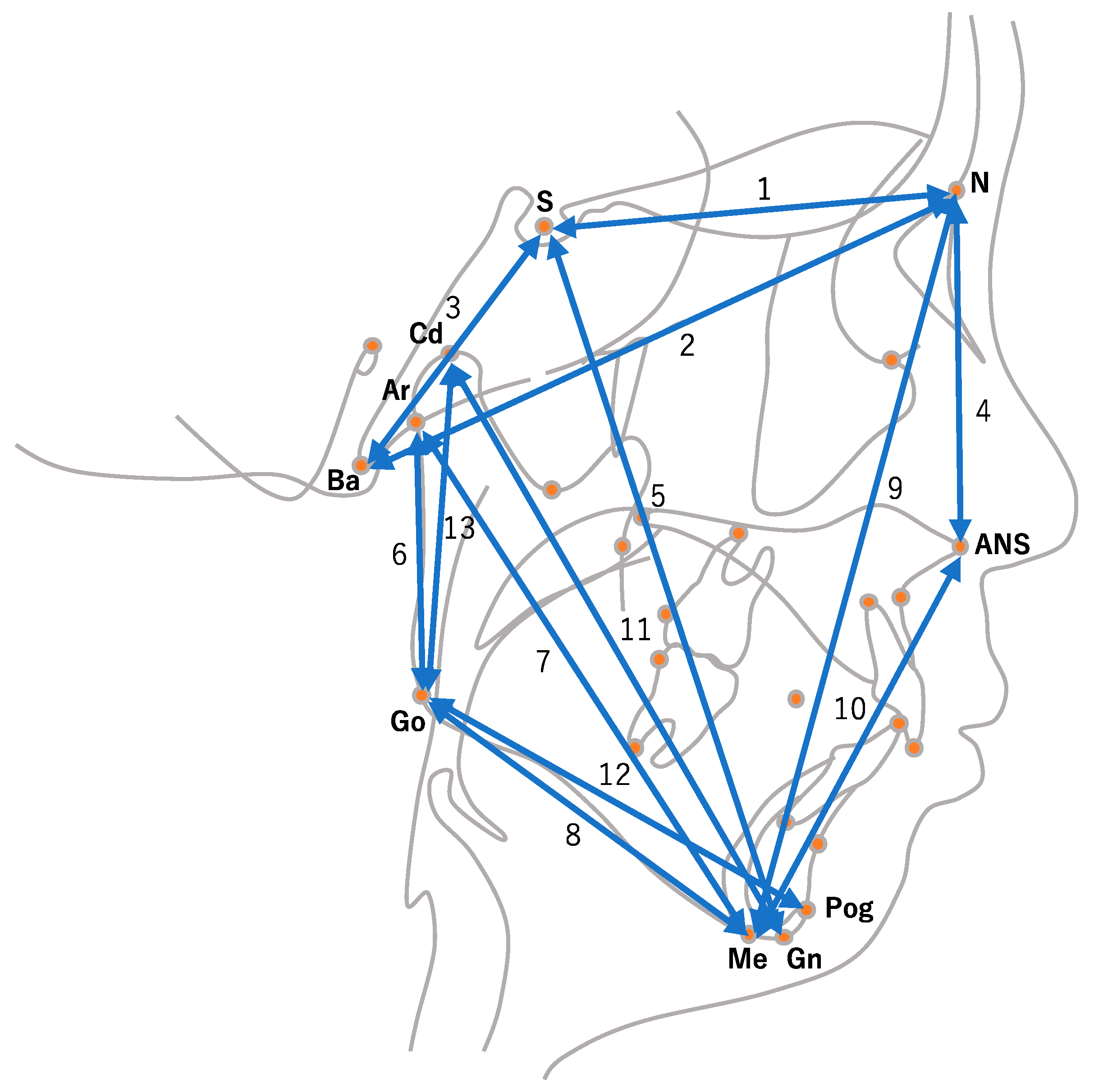 Diagnostics 13 03369 g002