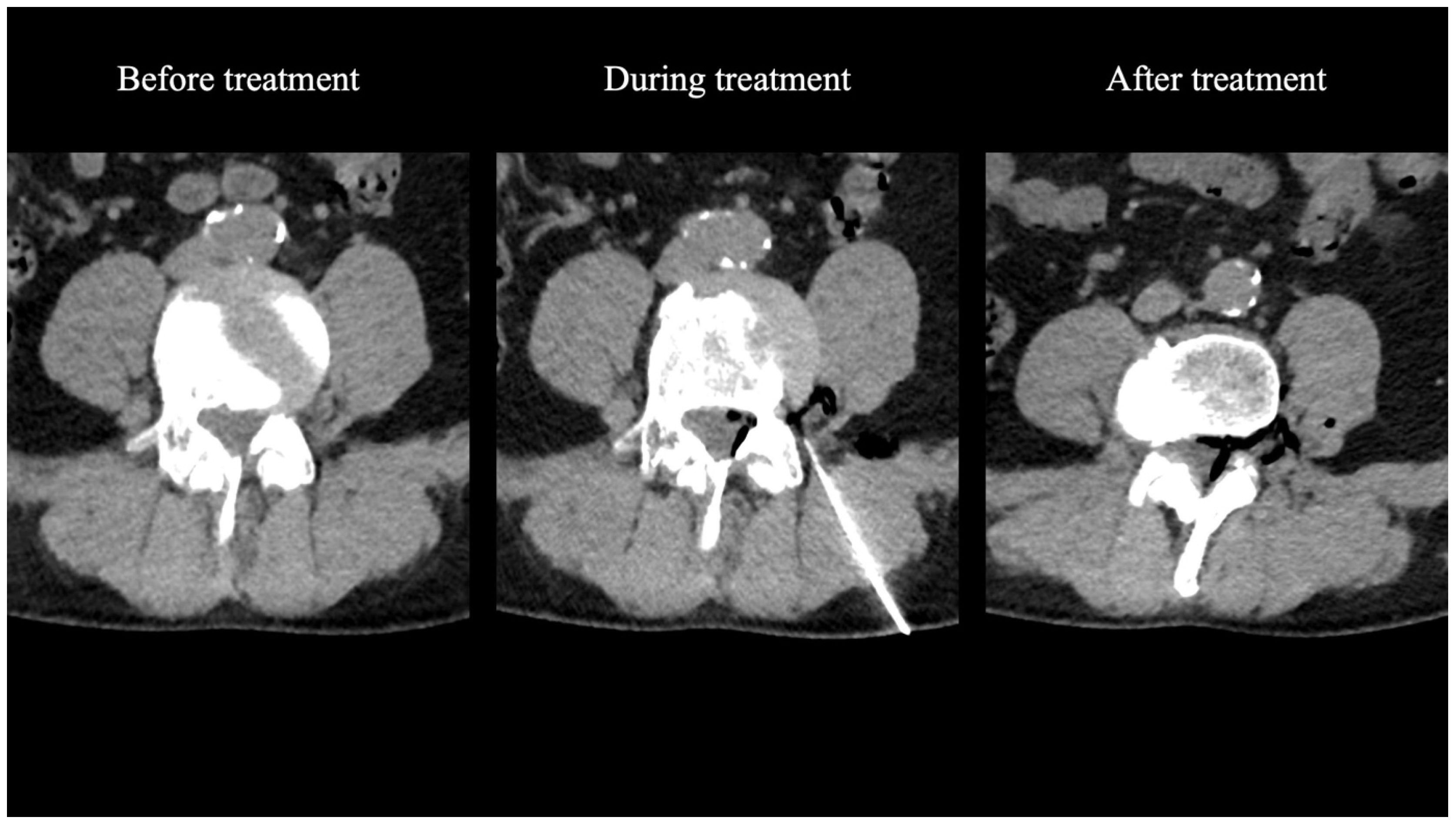 Diagnostics 13 03370 g003