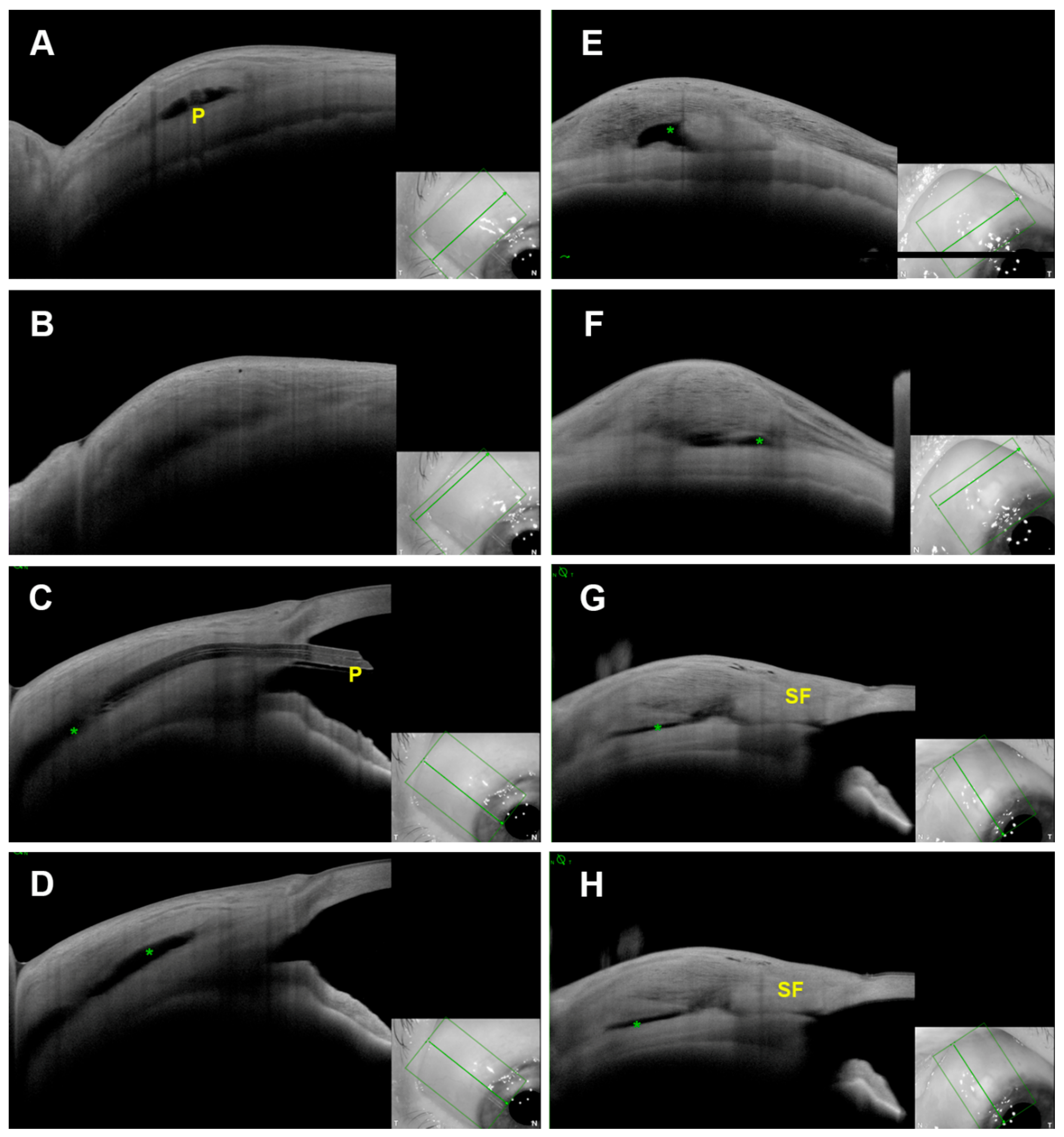 Diagnostics 13 03373 g002