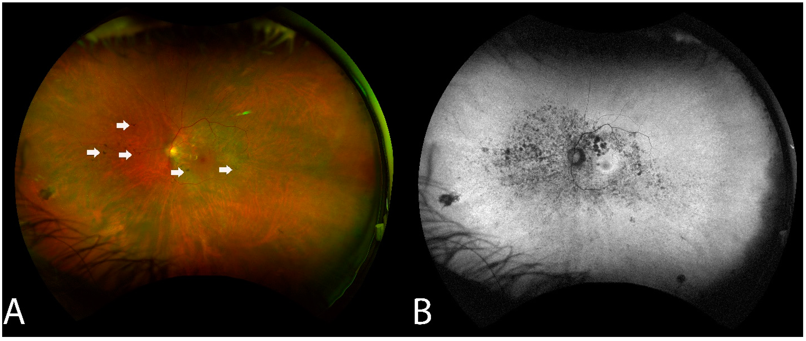 Diagnostics 13 03376 g002
