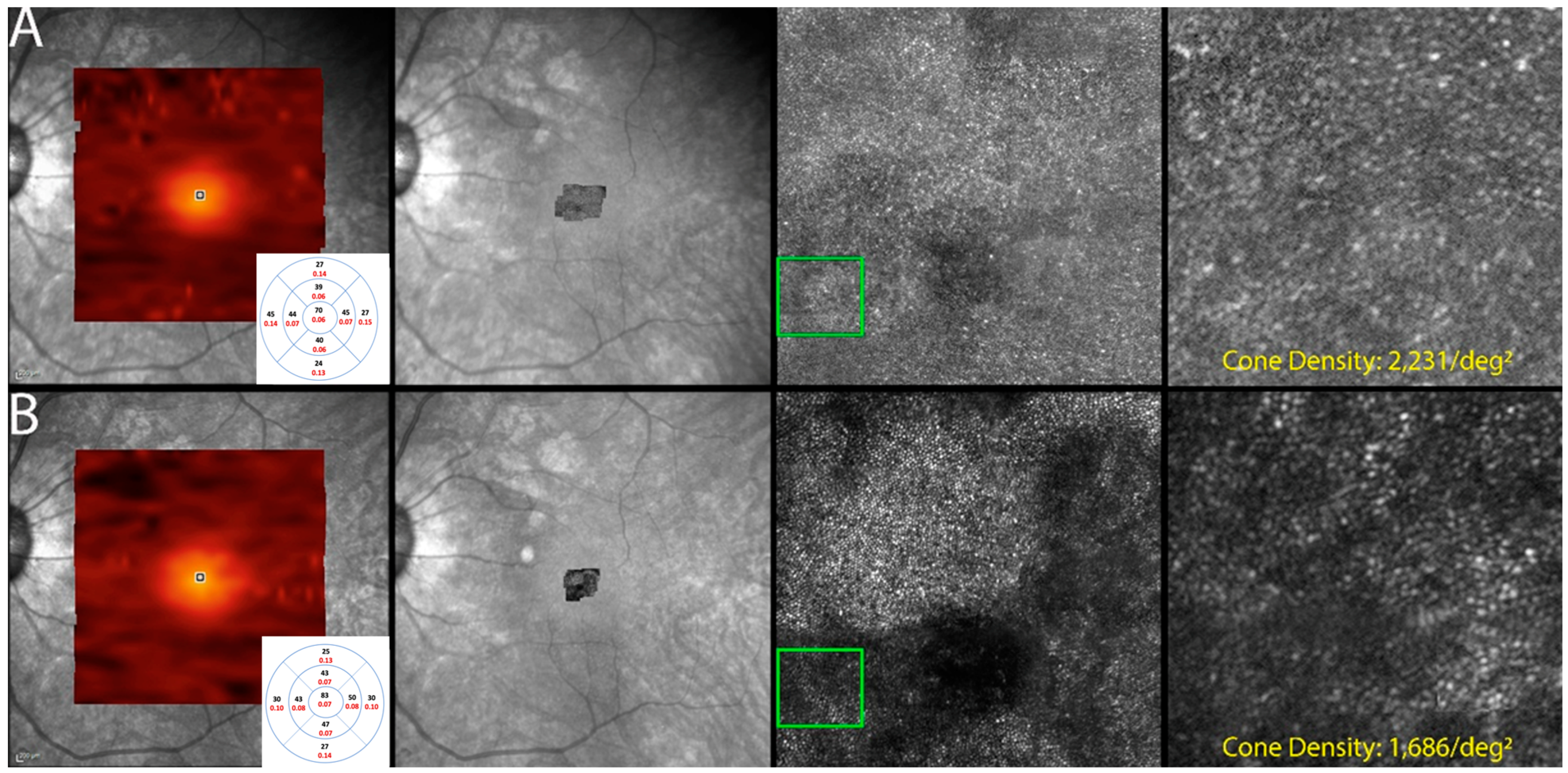 Diagnostics 13 03376 g007
