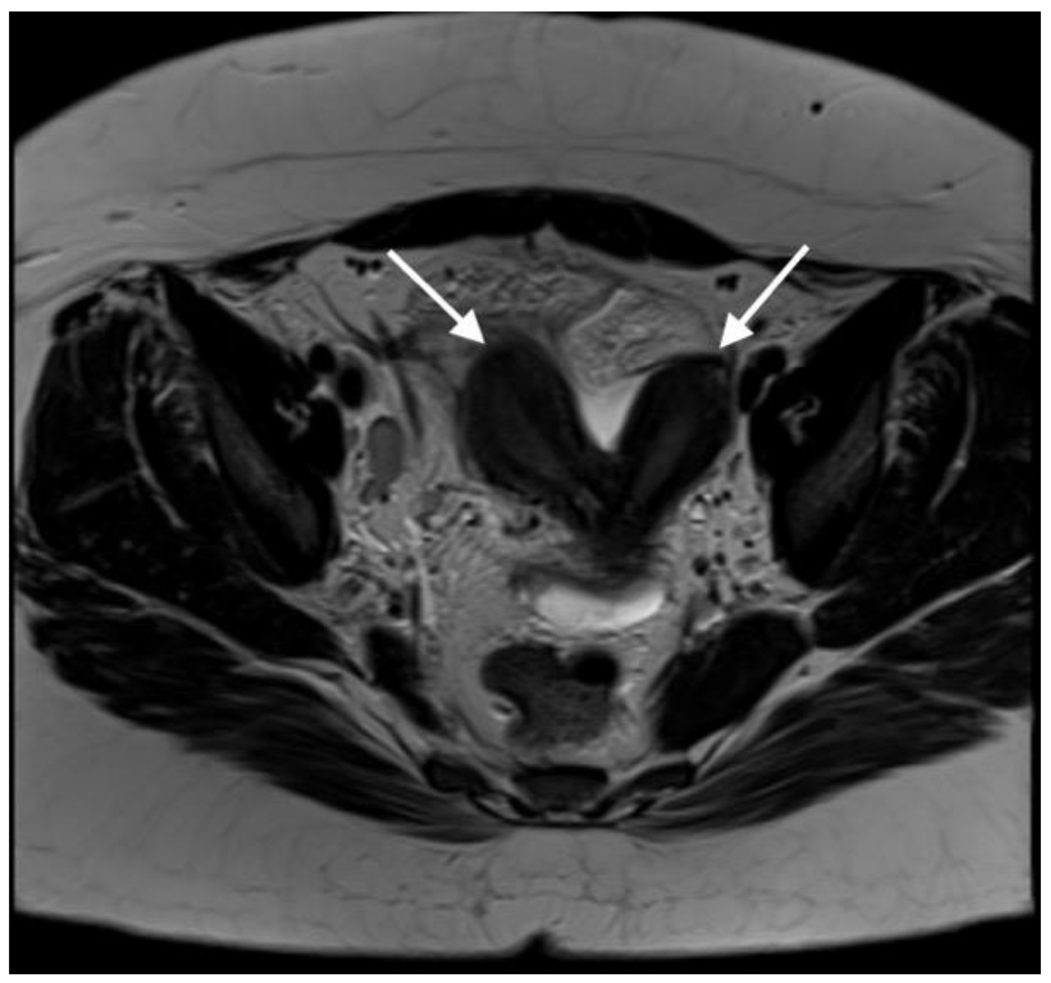 Diagnostics 13 03377 g001