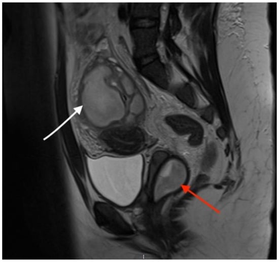 Diagnostics 13 03377 g002