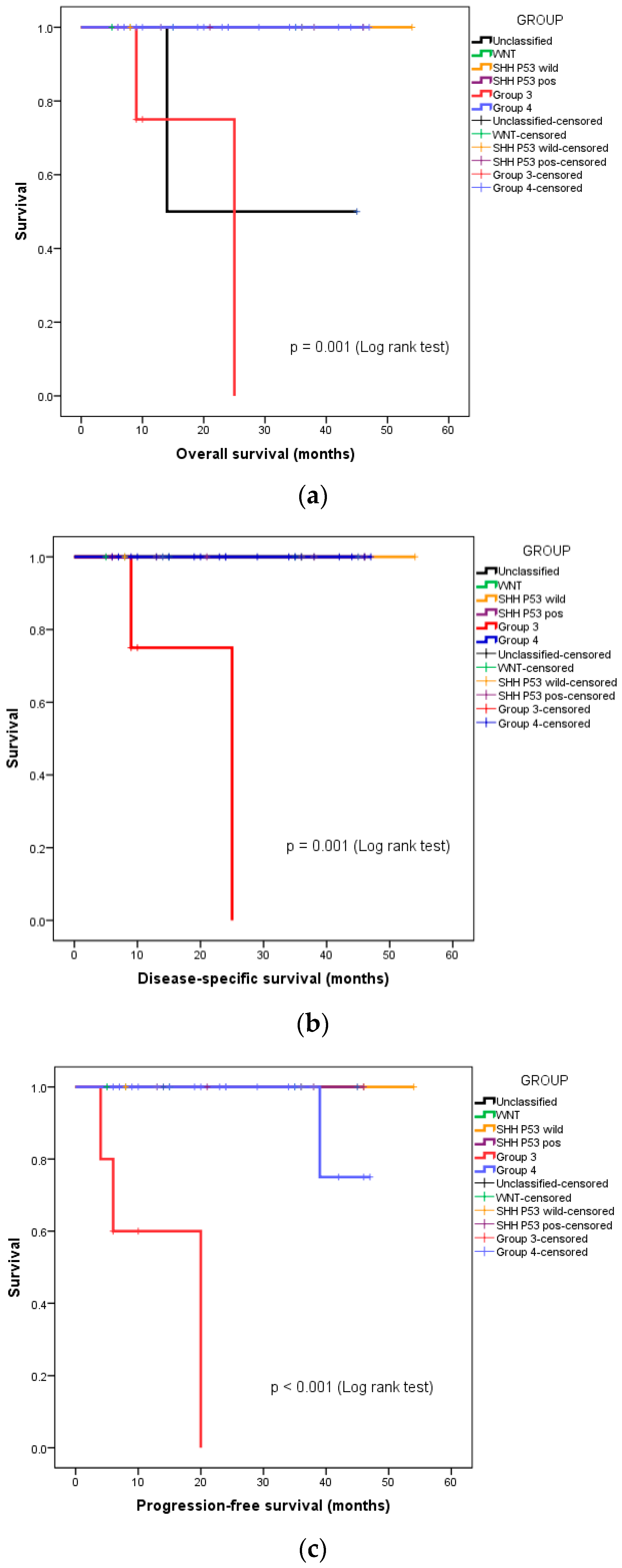 Diagnostics 13 03378 g002