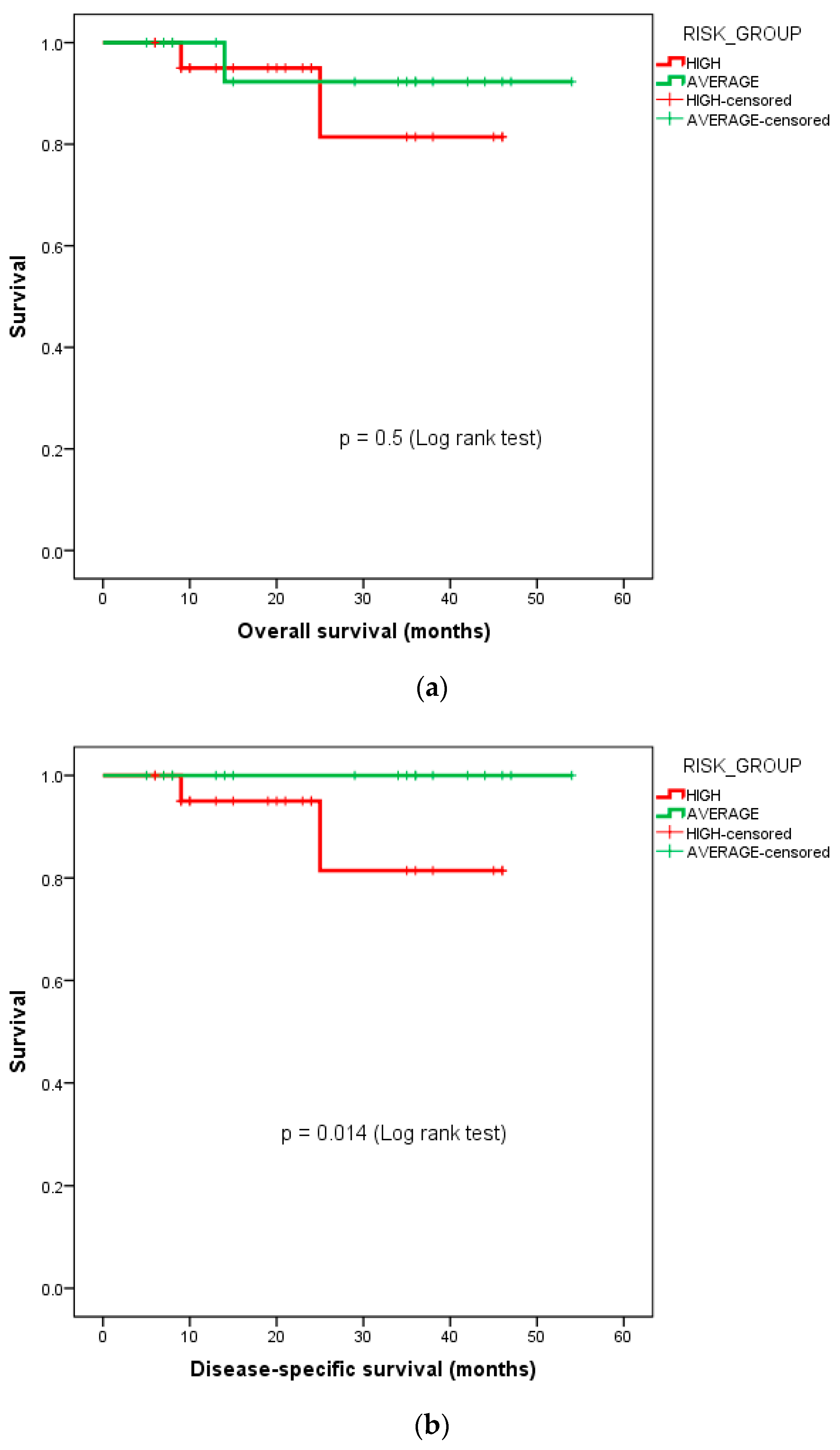 Diagnostics 13 03378 g003