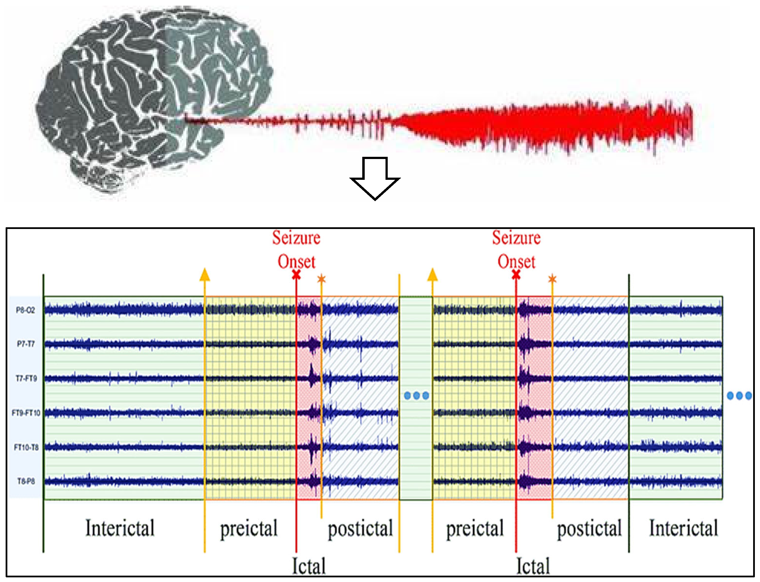 Diagnostics 13 03382 g001