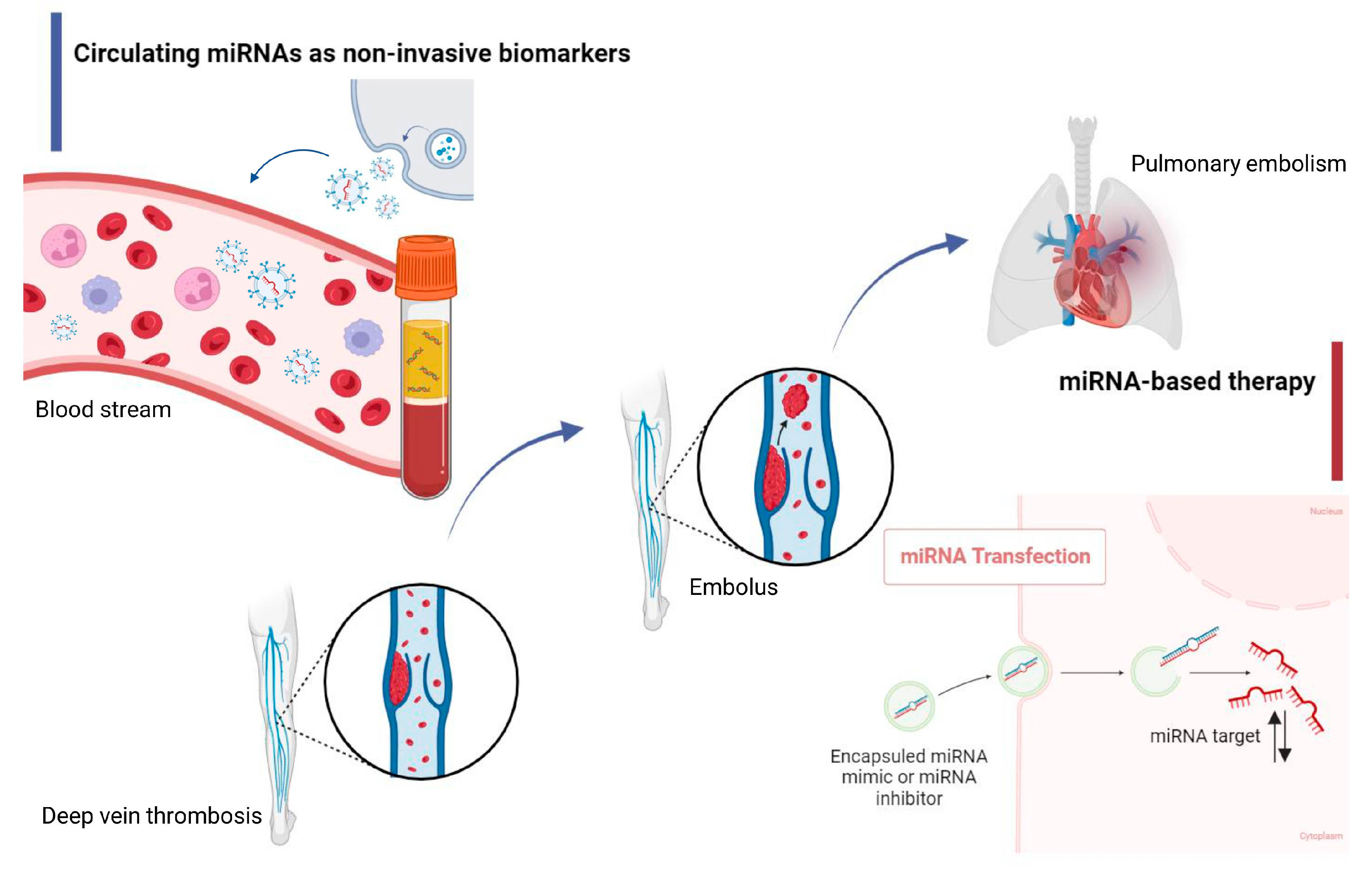 Diagnostics 13 03383 g001