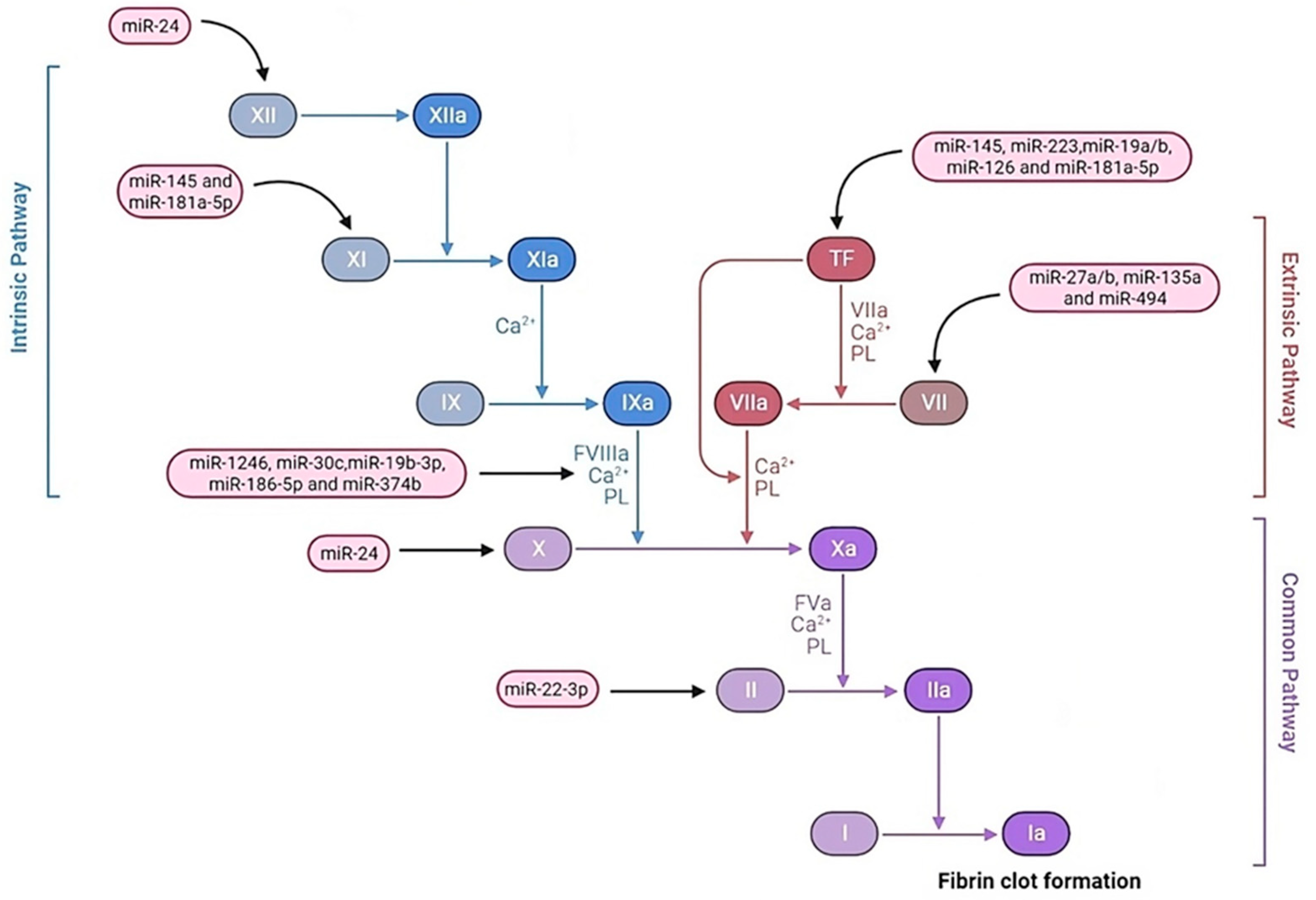 Diagnostics 13 03383 g002