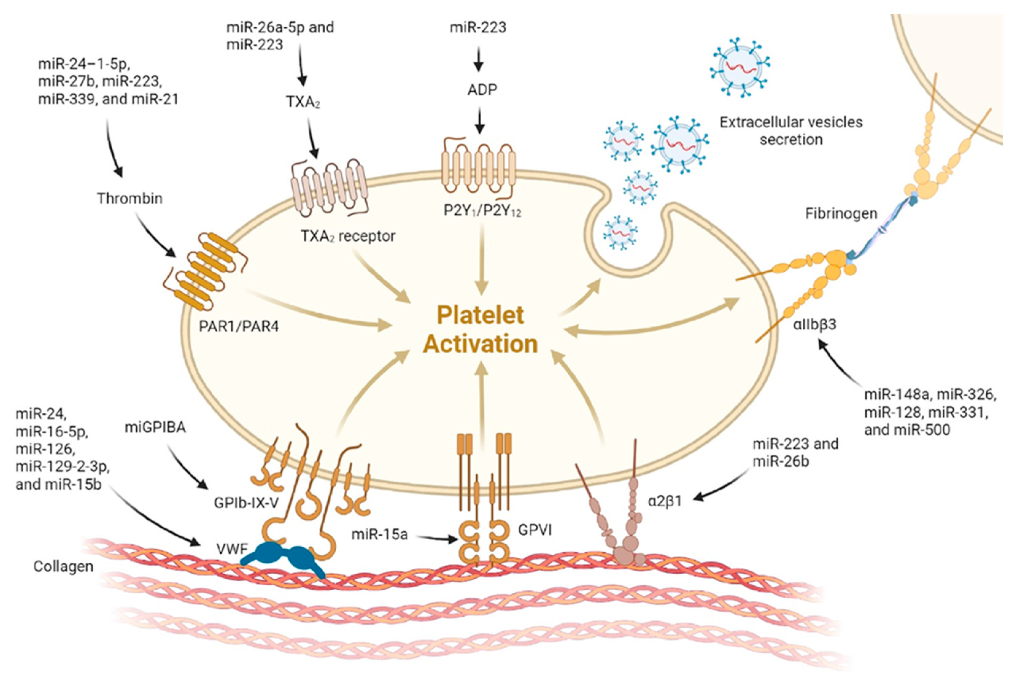 Diagnostics 13 03383 g004