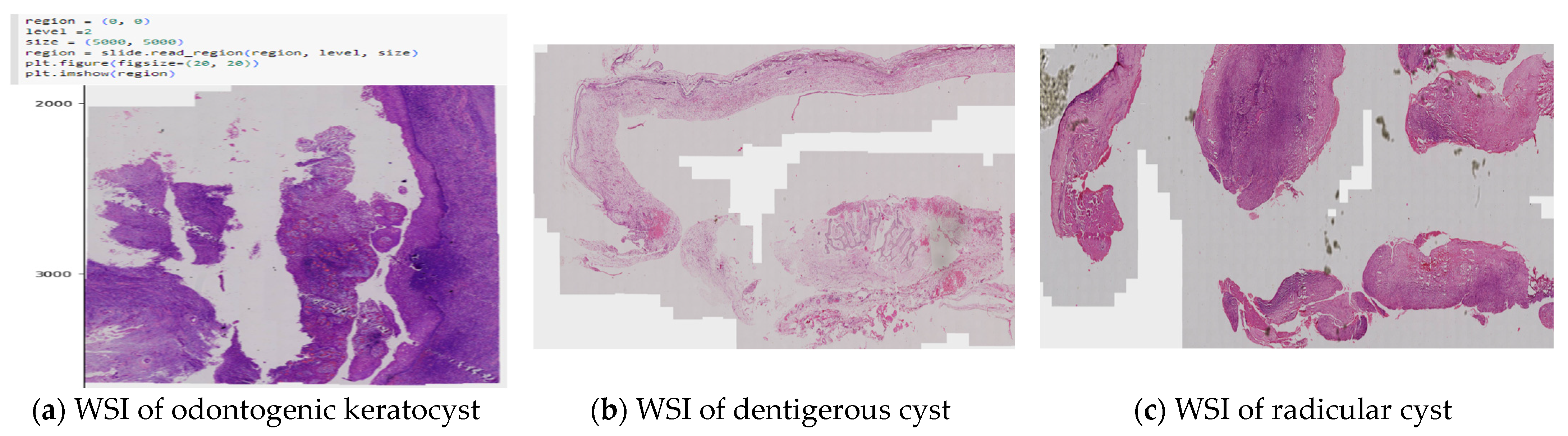 Diagnostics 13 03384 g002