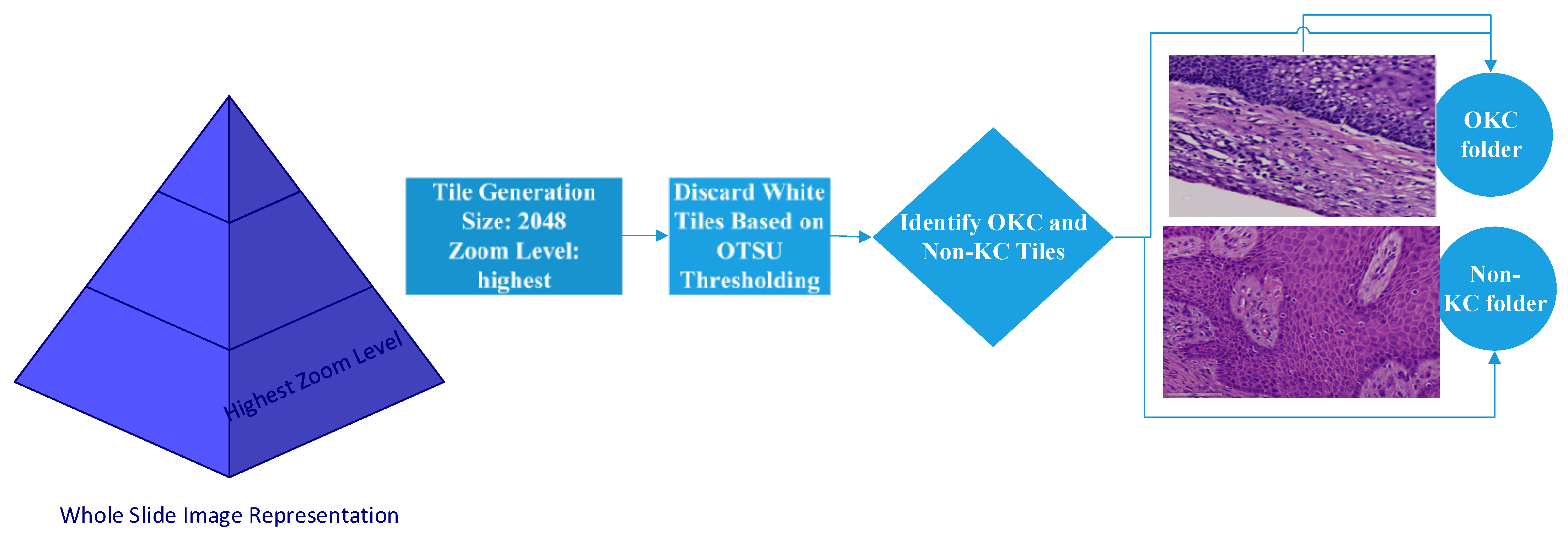 Diagnostics 13 03384 g003