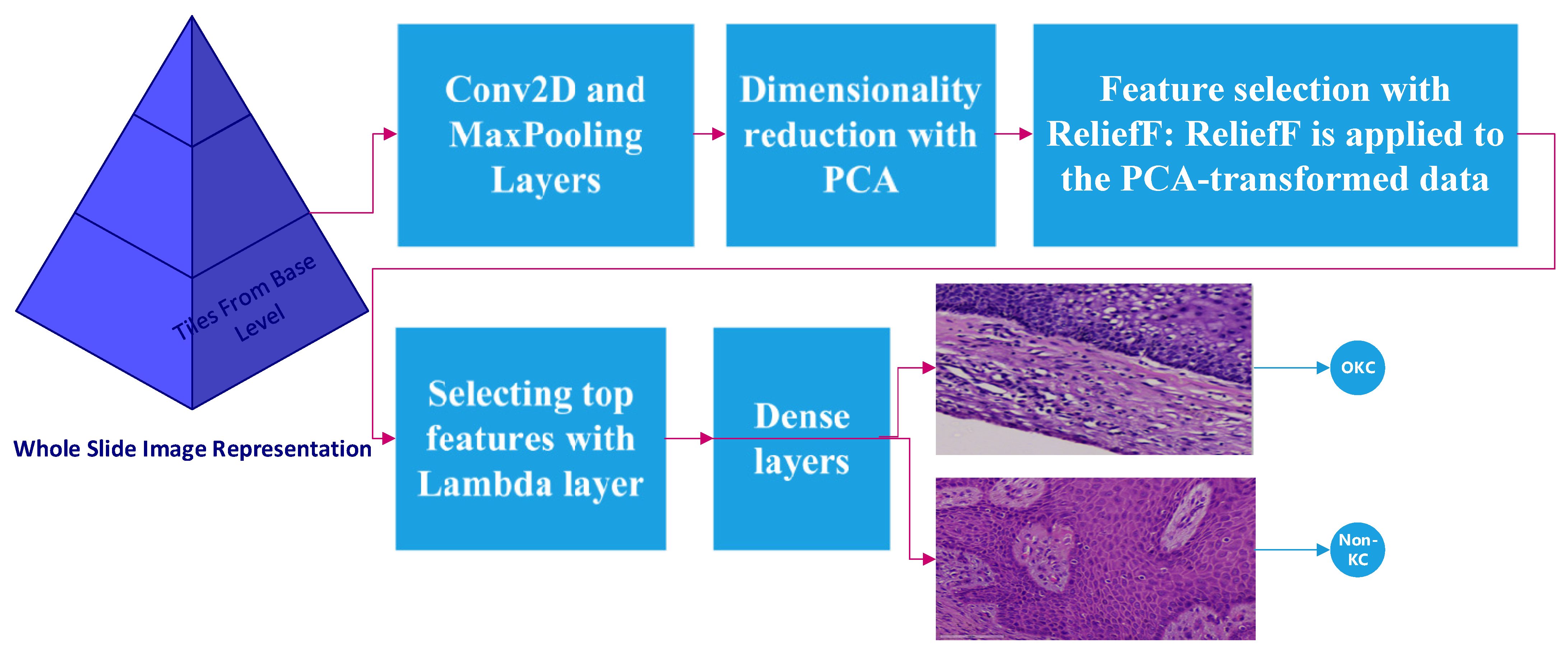 Diagnostics 13 03384 g004