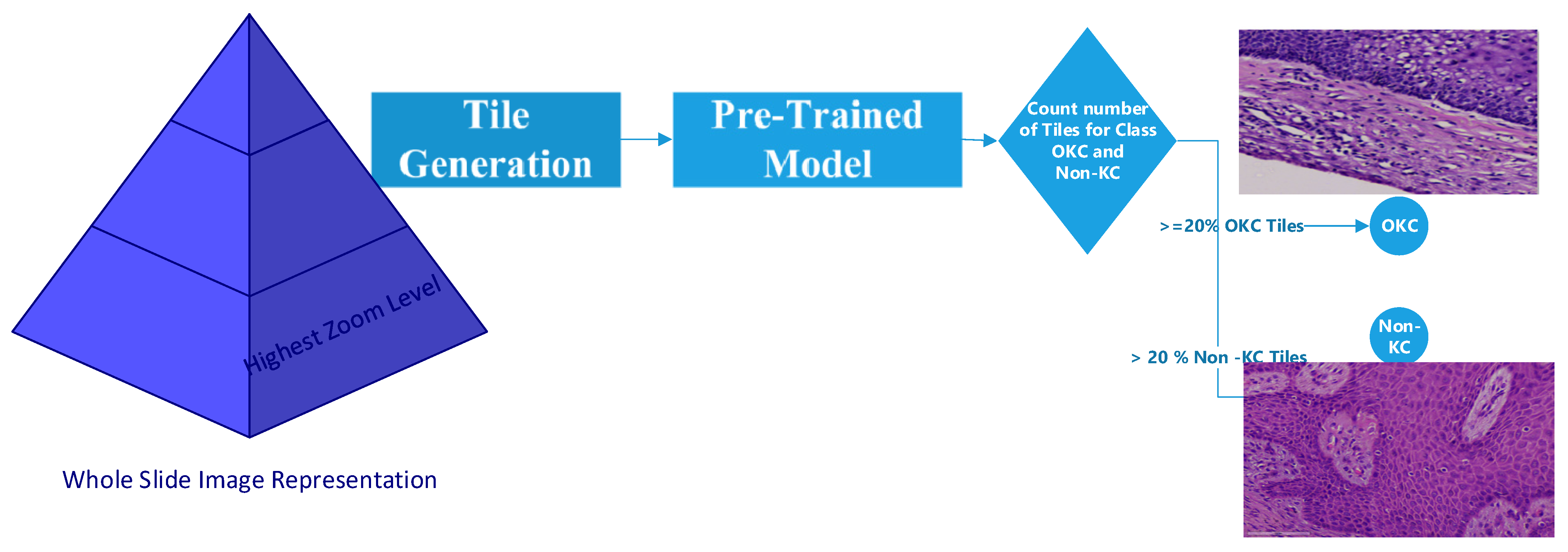 Diagnostics 13 03384 g011