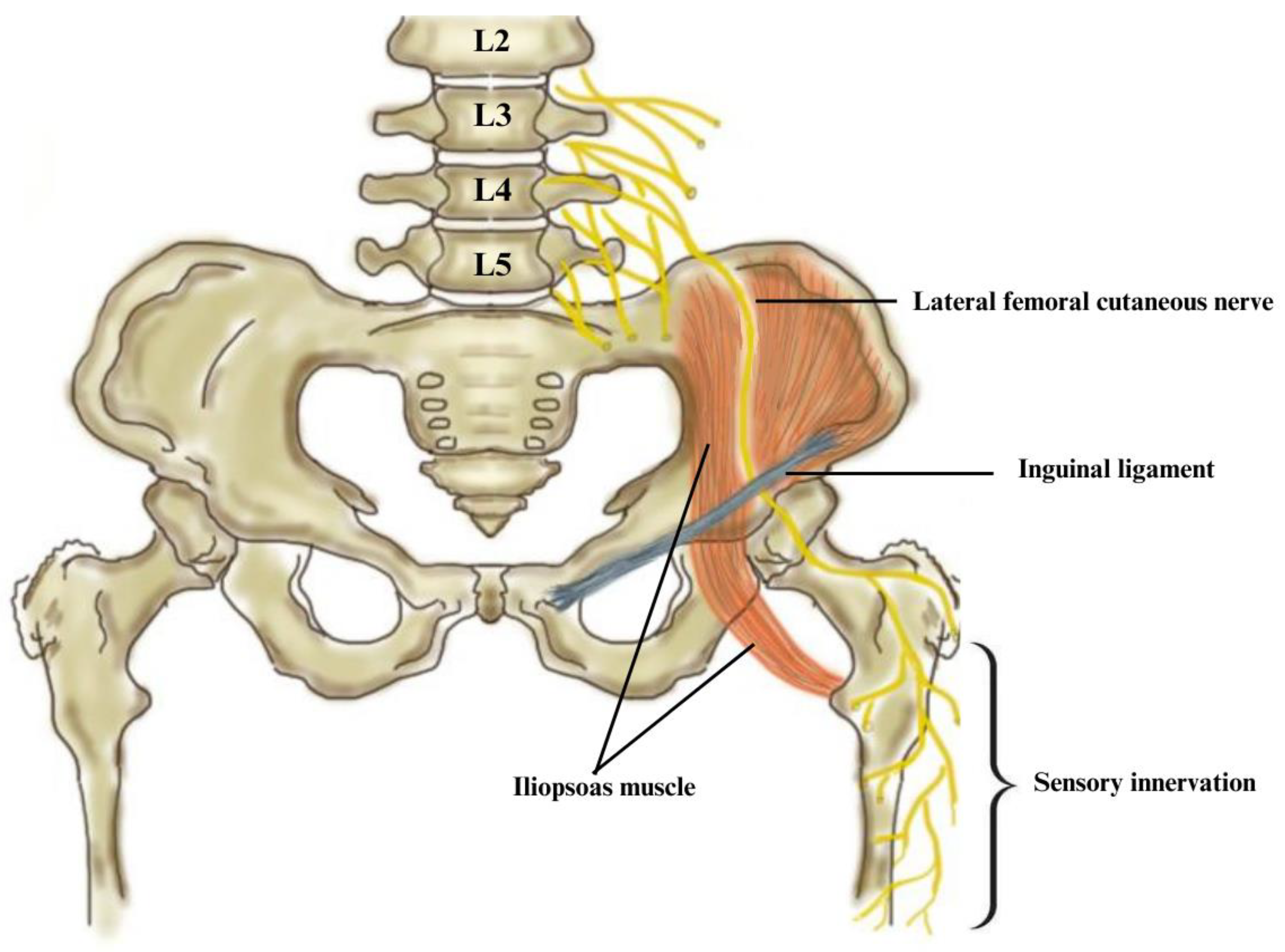 Diagnostics 13 03385 g008