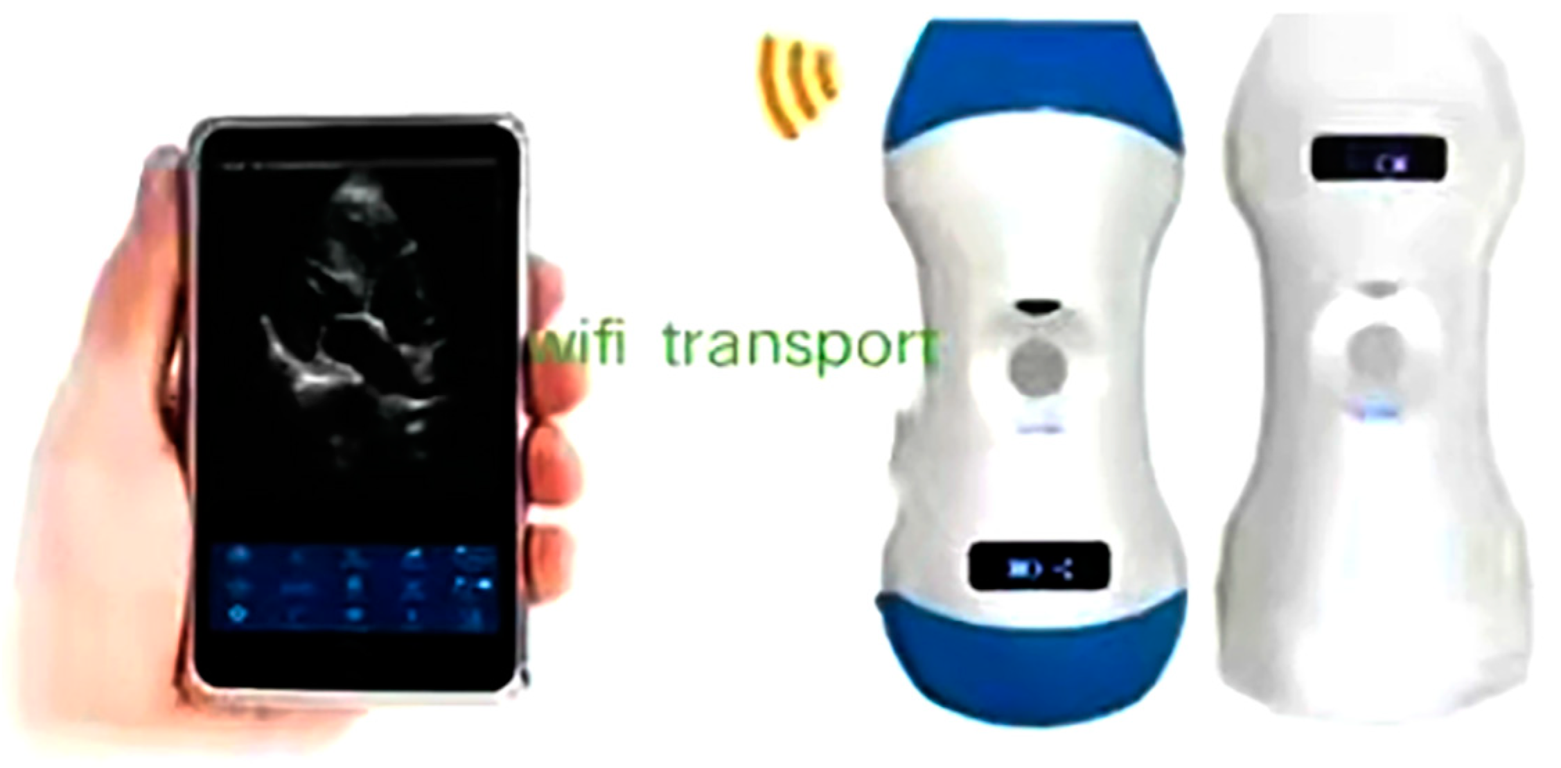 Diagnostics 13 03388 g002