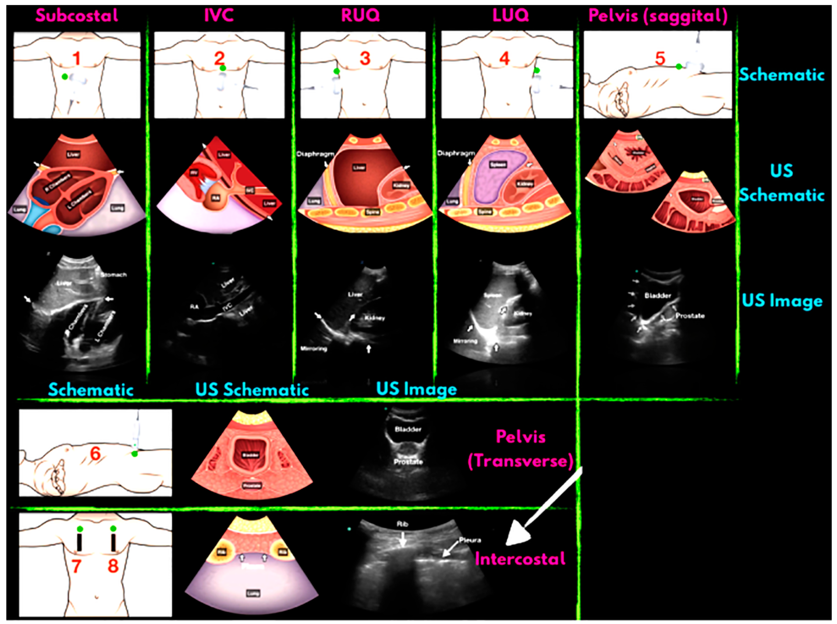 Diagnostics 13 03388 g004