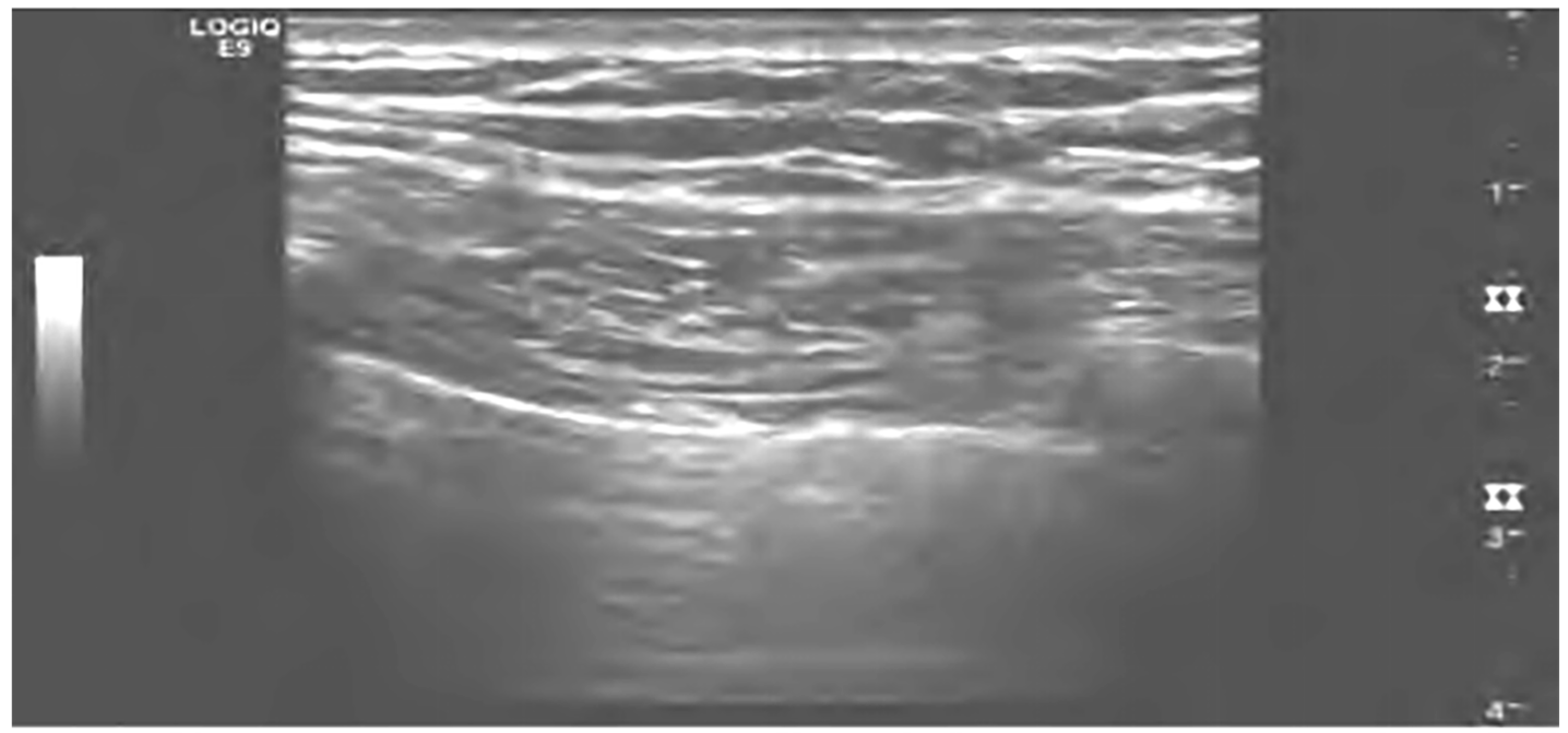 Diagnostics 13 03388 g005