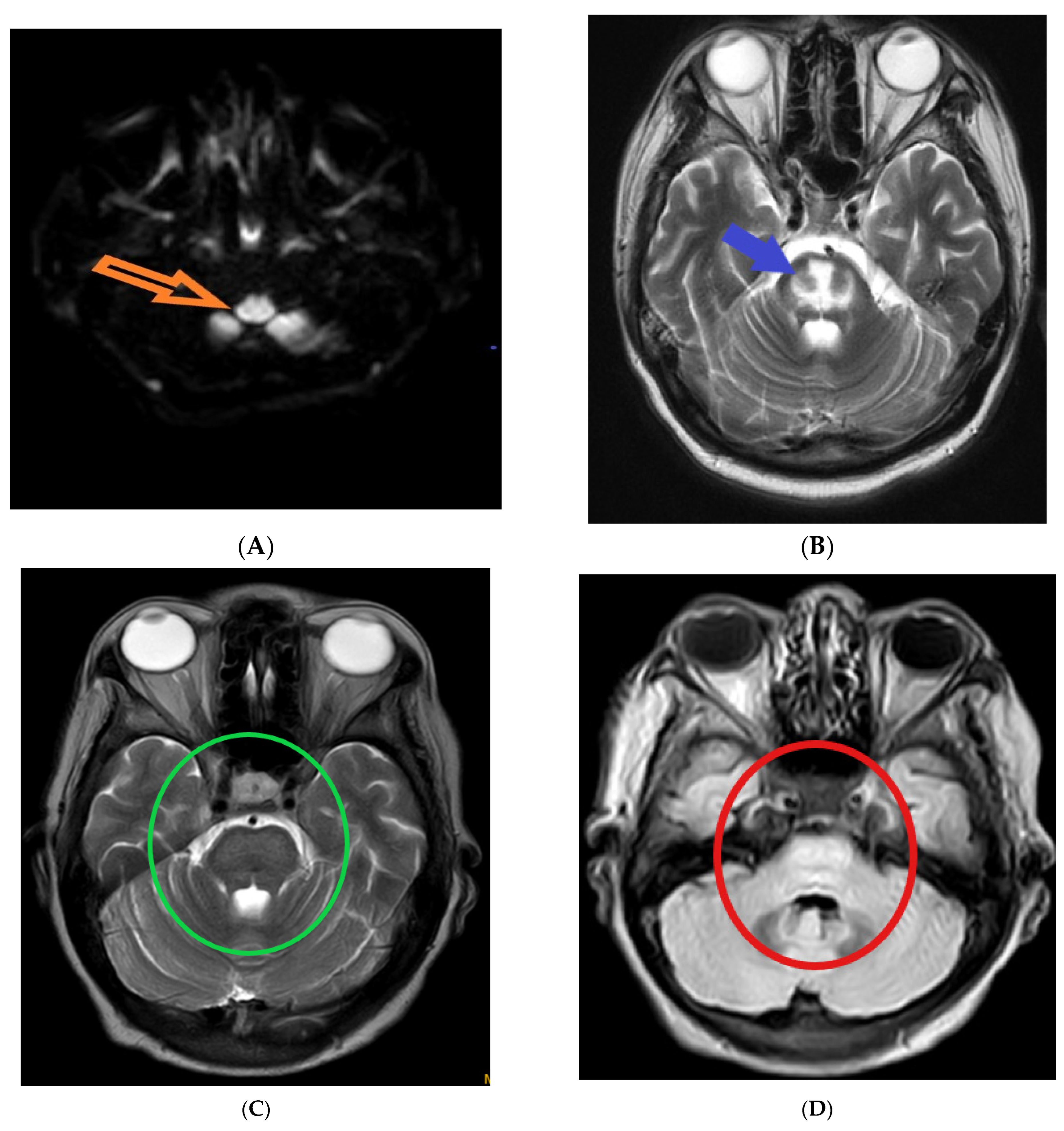 Diagnostics 13 03393 g001