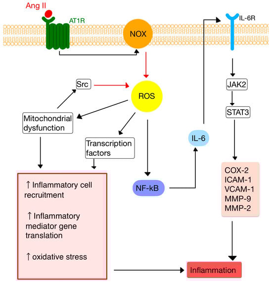 Diagnostics 13 03398 g002