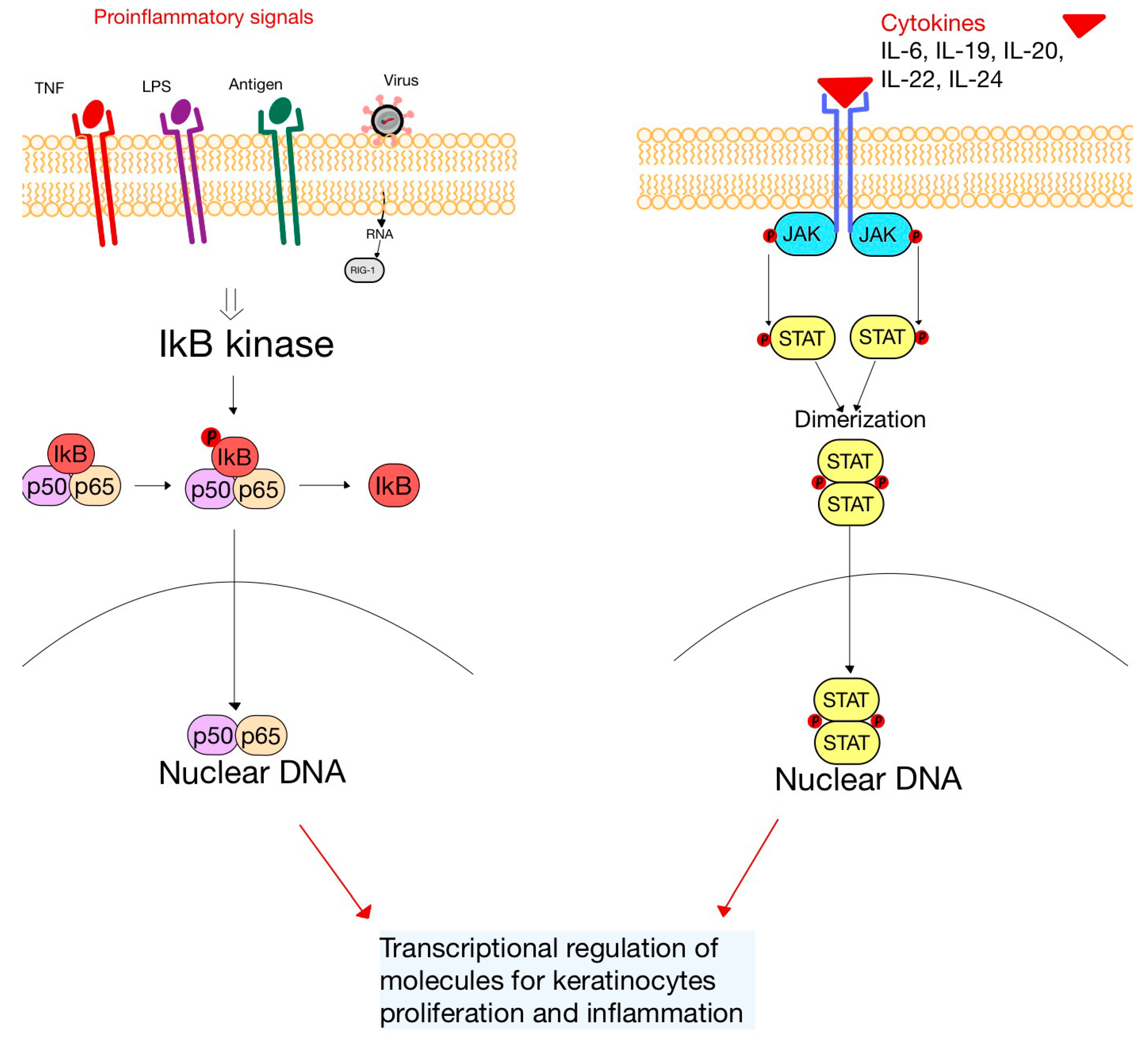 Diagnostics 13 03398 g005