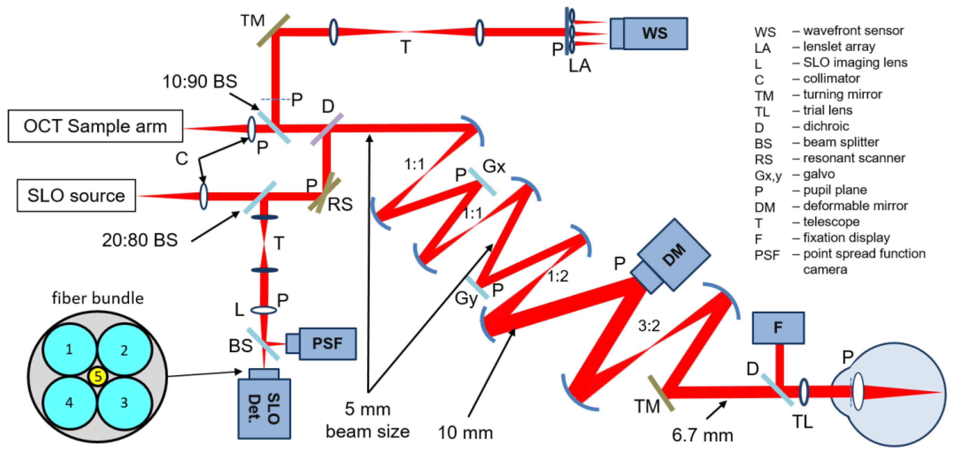 Diagnostics 13 03399 g001