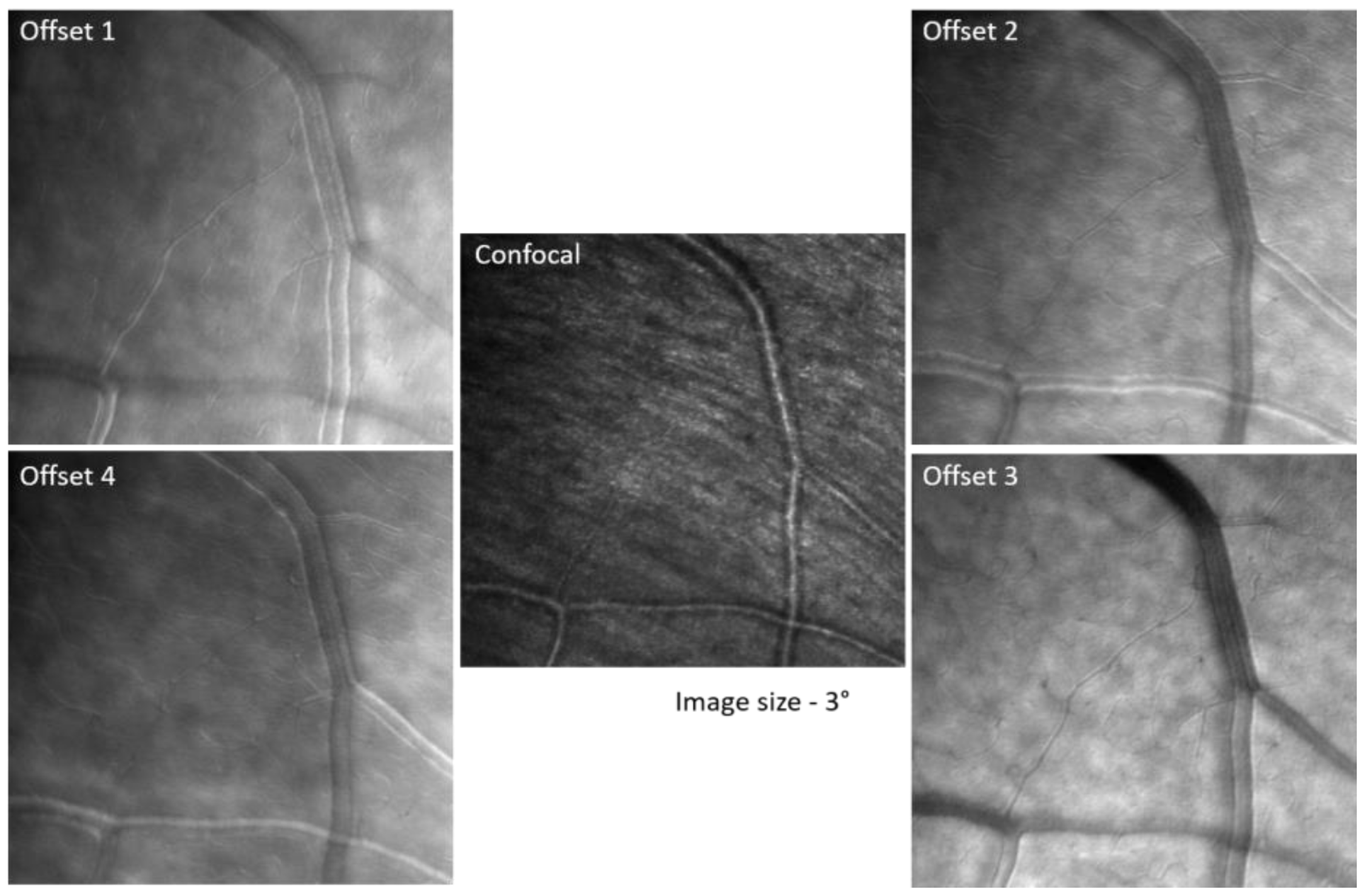 Diagnostics 13 03399 g002