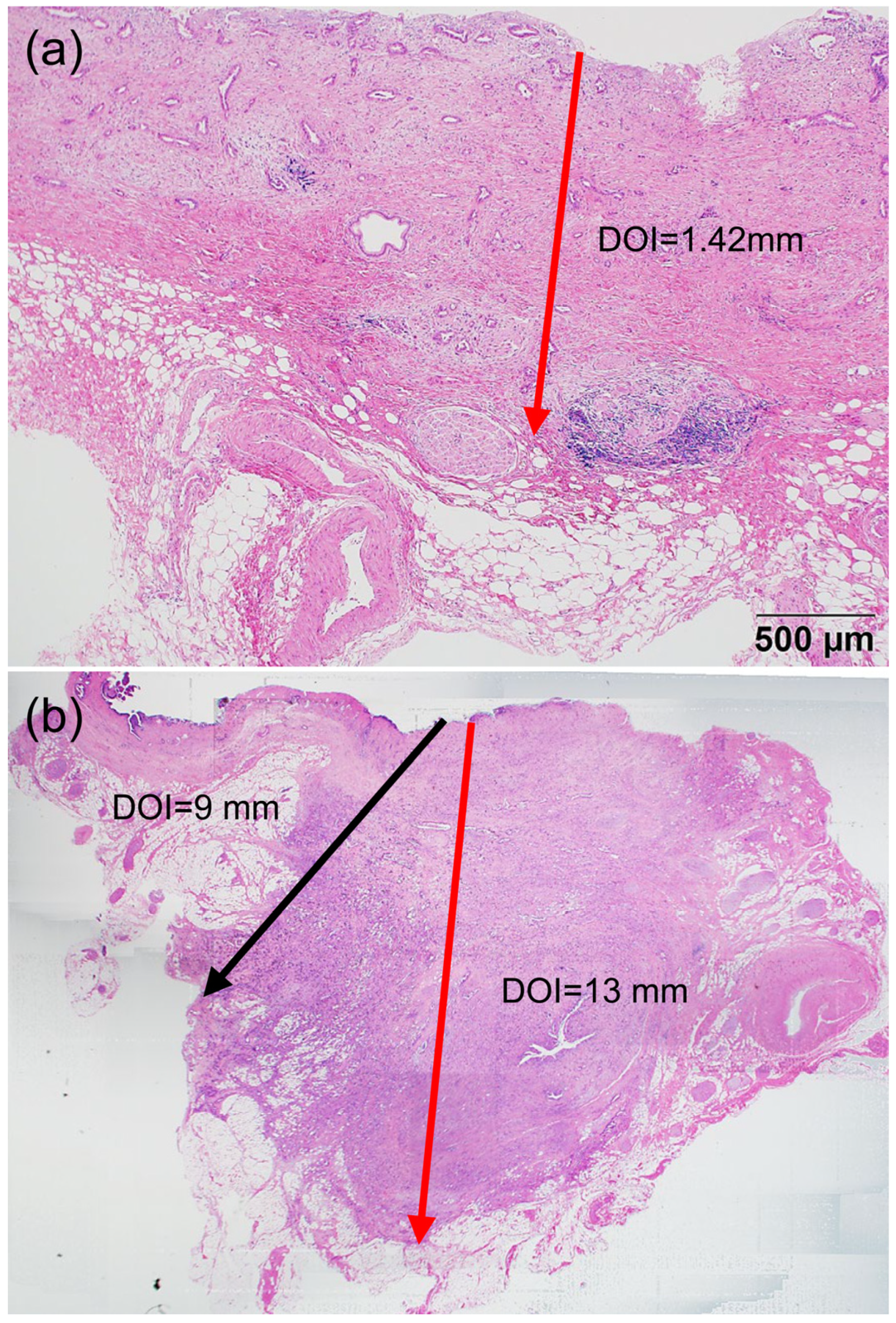 Diagnostics 13 03406 g001