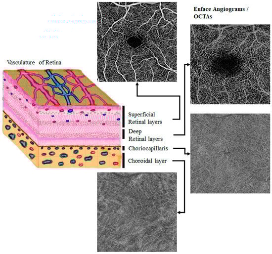 Diagnostics 13 03407 g001