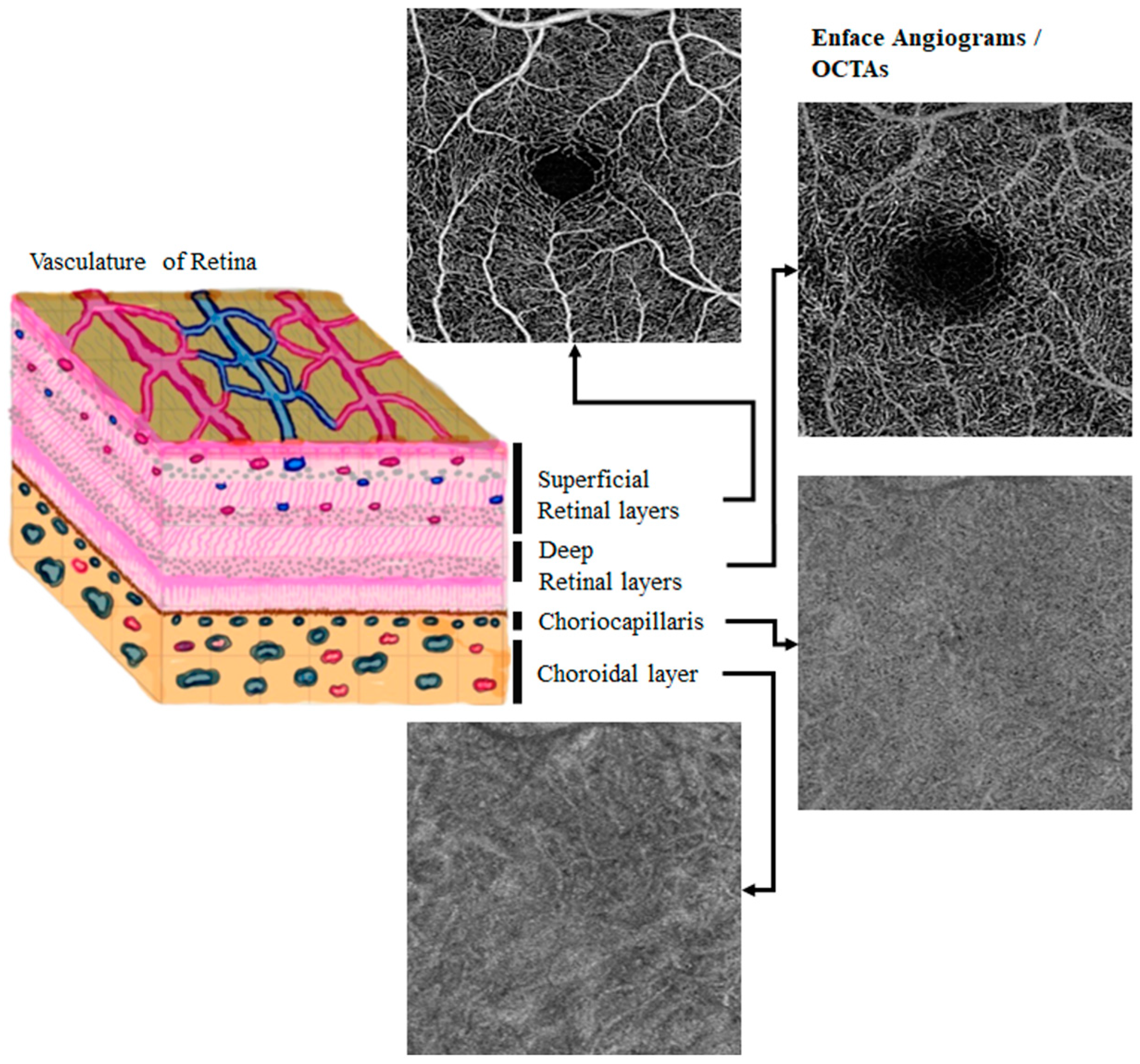 Diagnostics 13 03407 g001