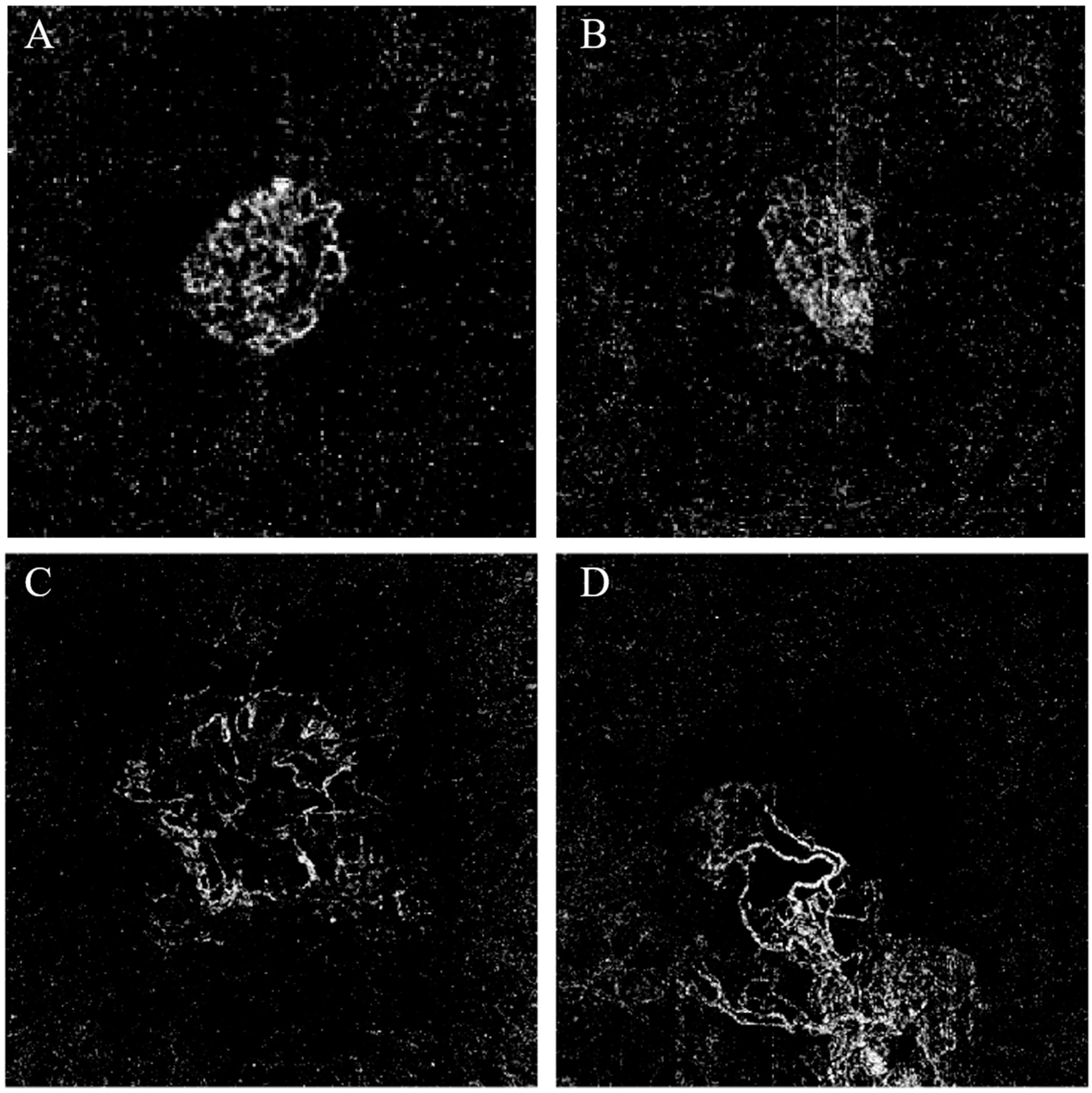 Diagnostics 13 03407 g002