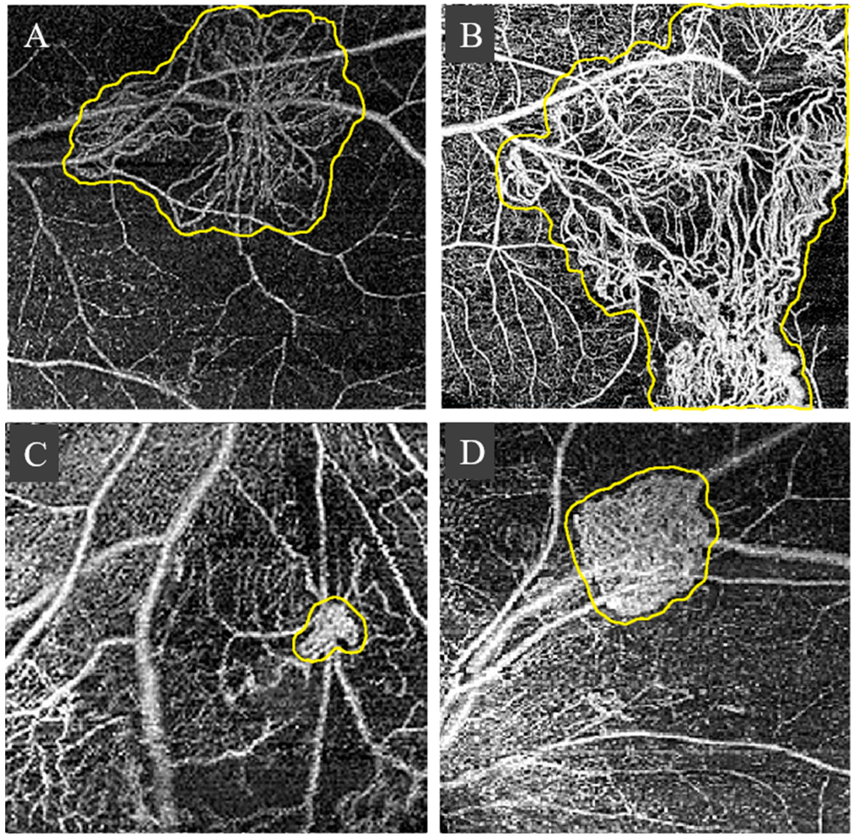 Diagnostics 13 03407 g003