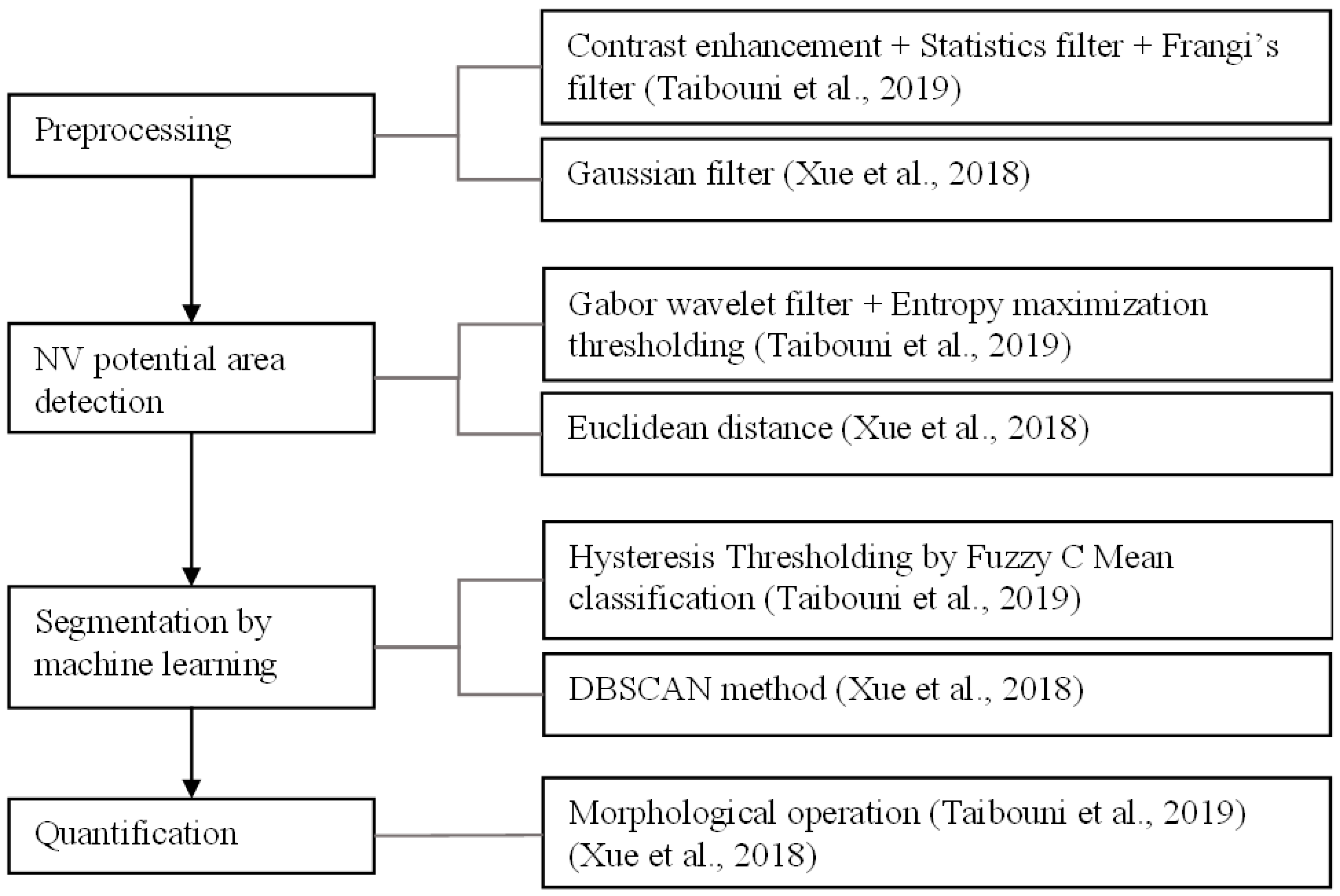 Diagnostics 13 03407 g005