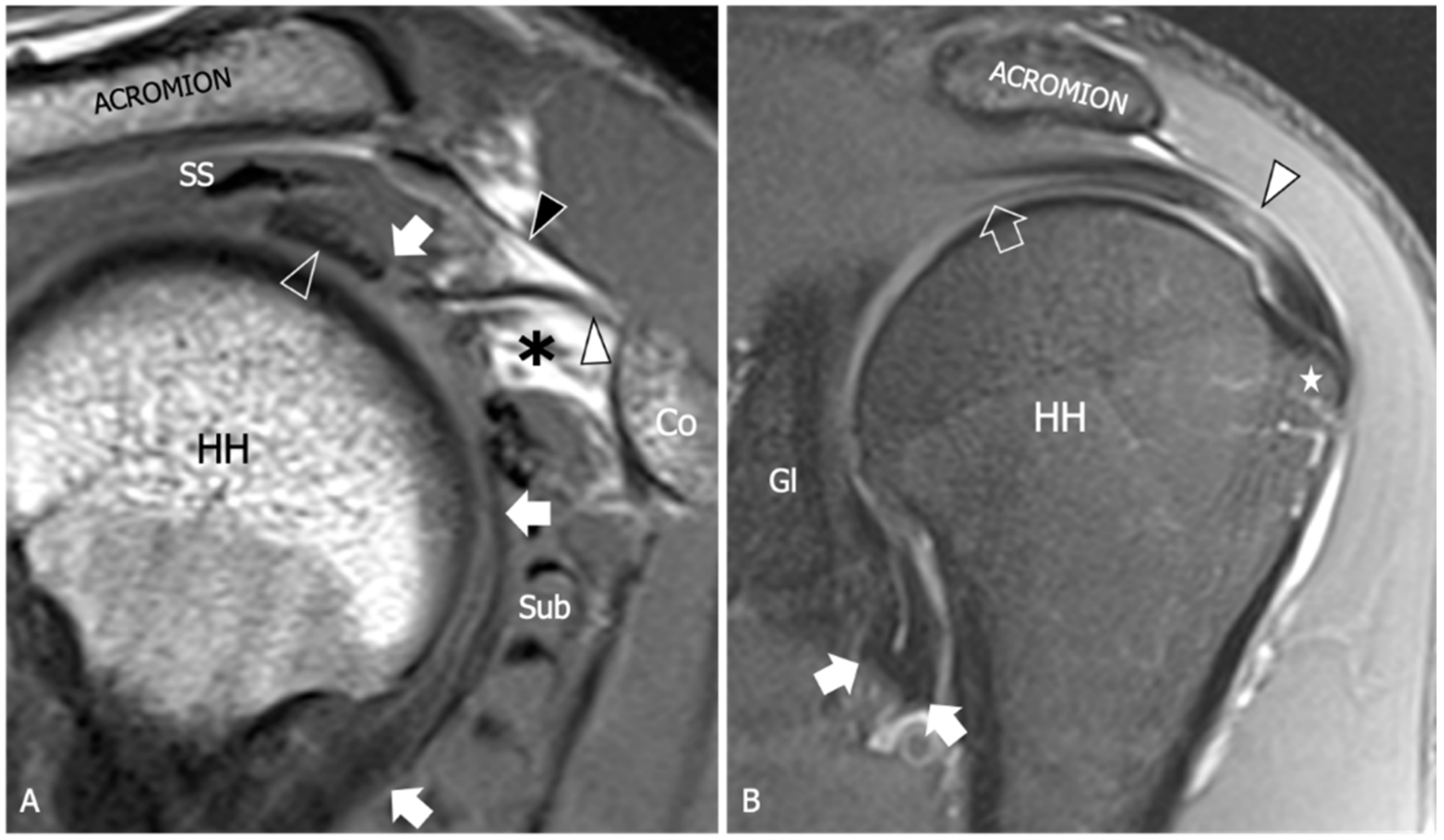Diagnostics 13 03410 g002