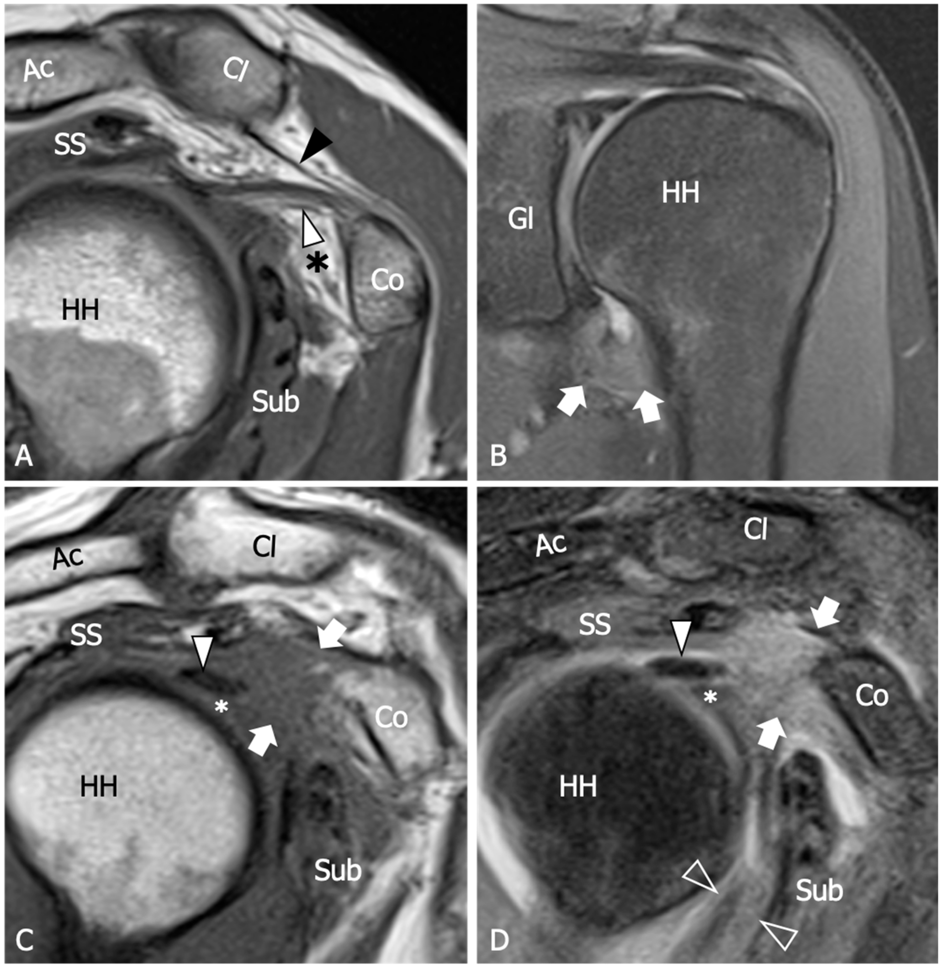 Diagnostics 13 03410 g003