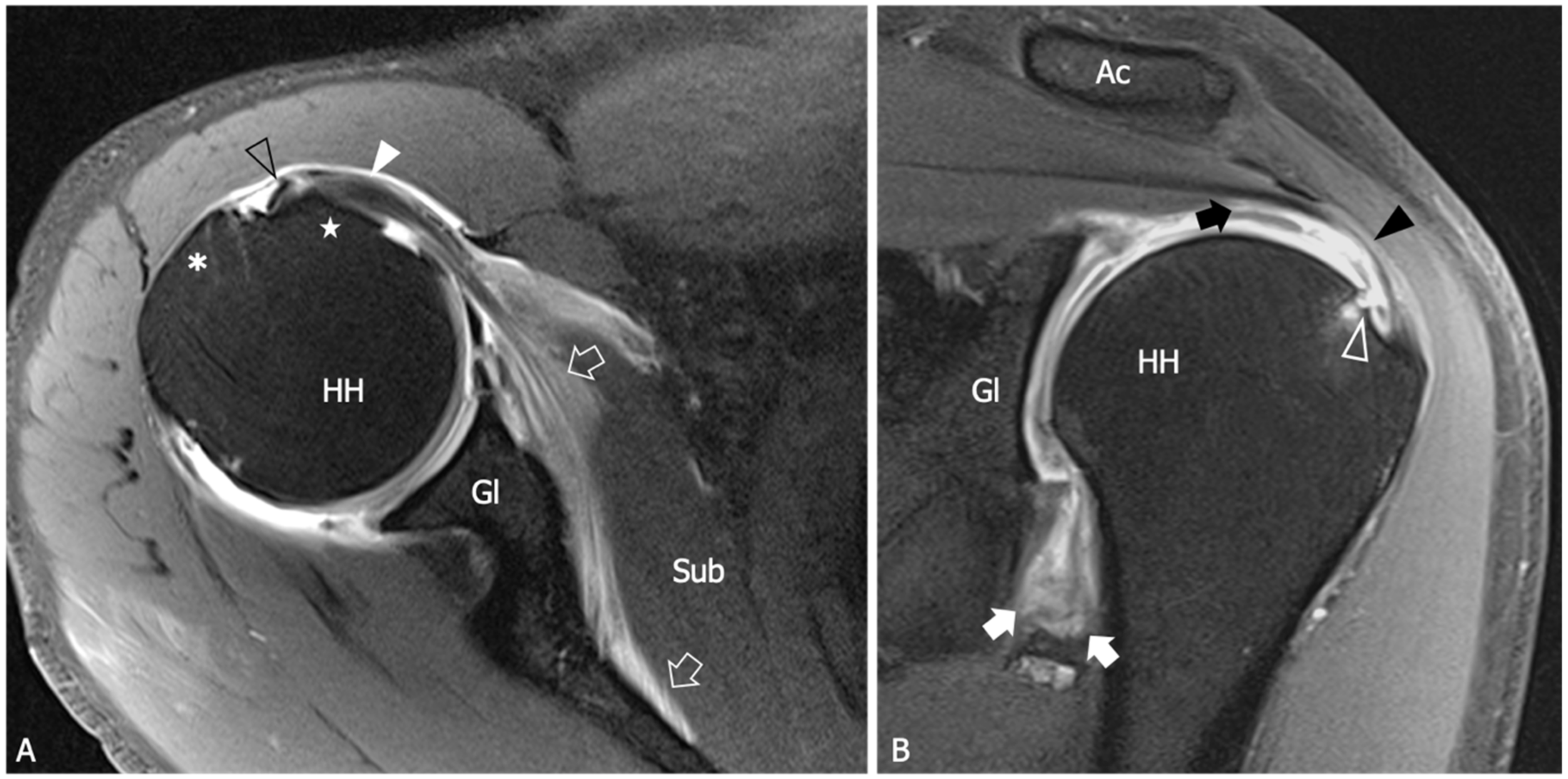 Diagnostics 13 03410 g004