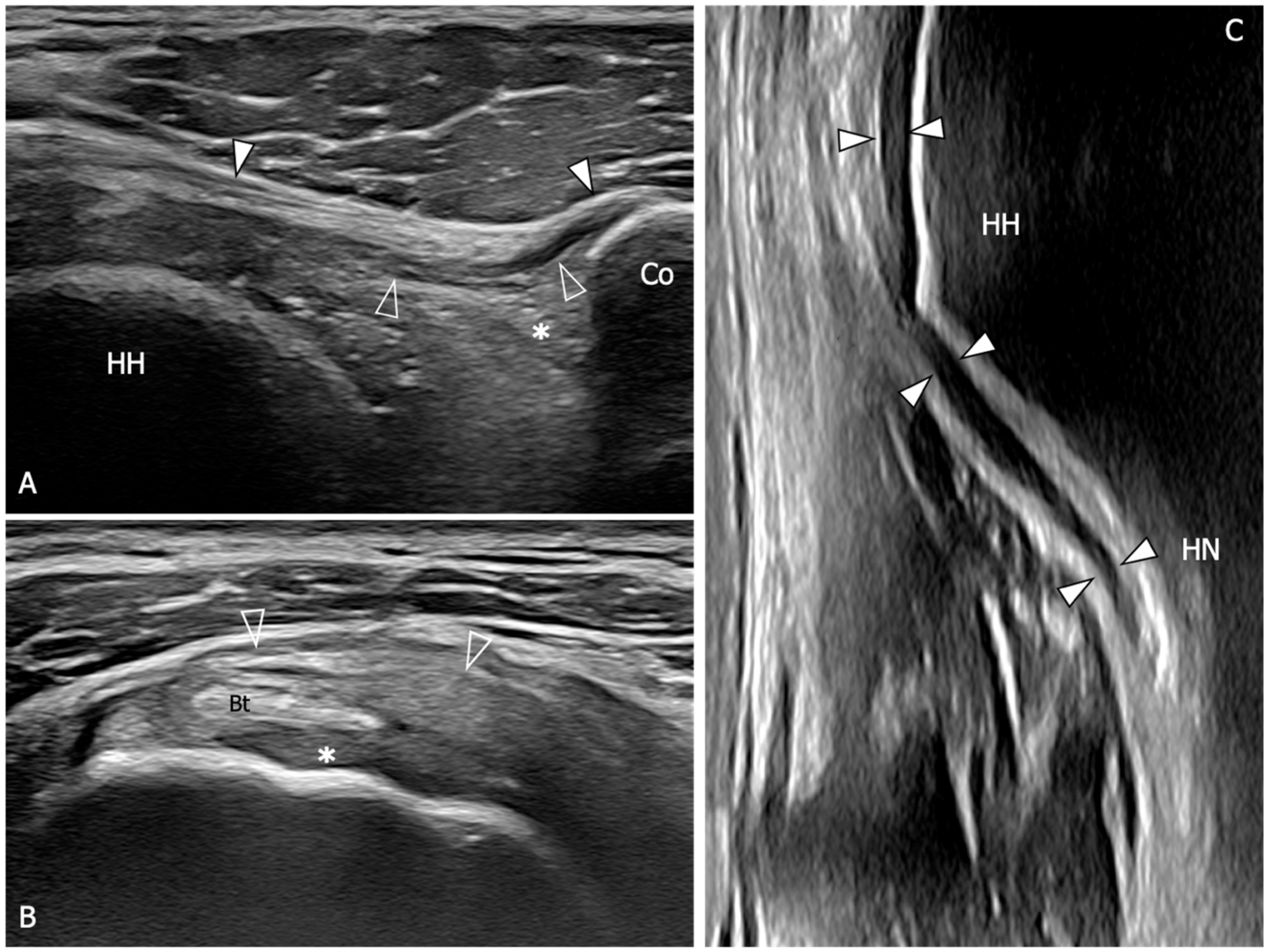 Diagnostics 13 03410 g005