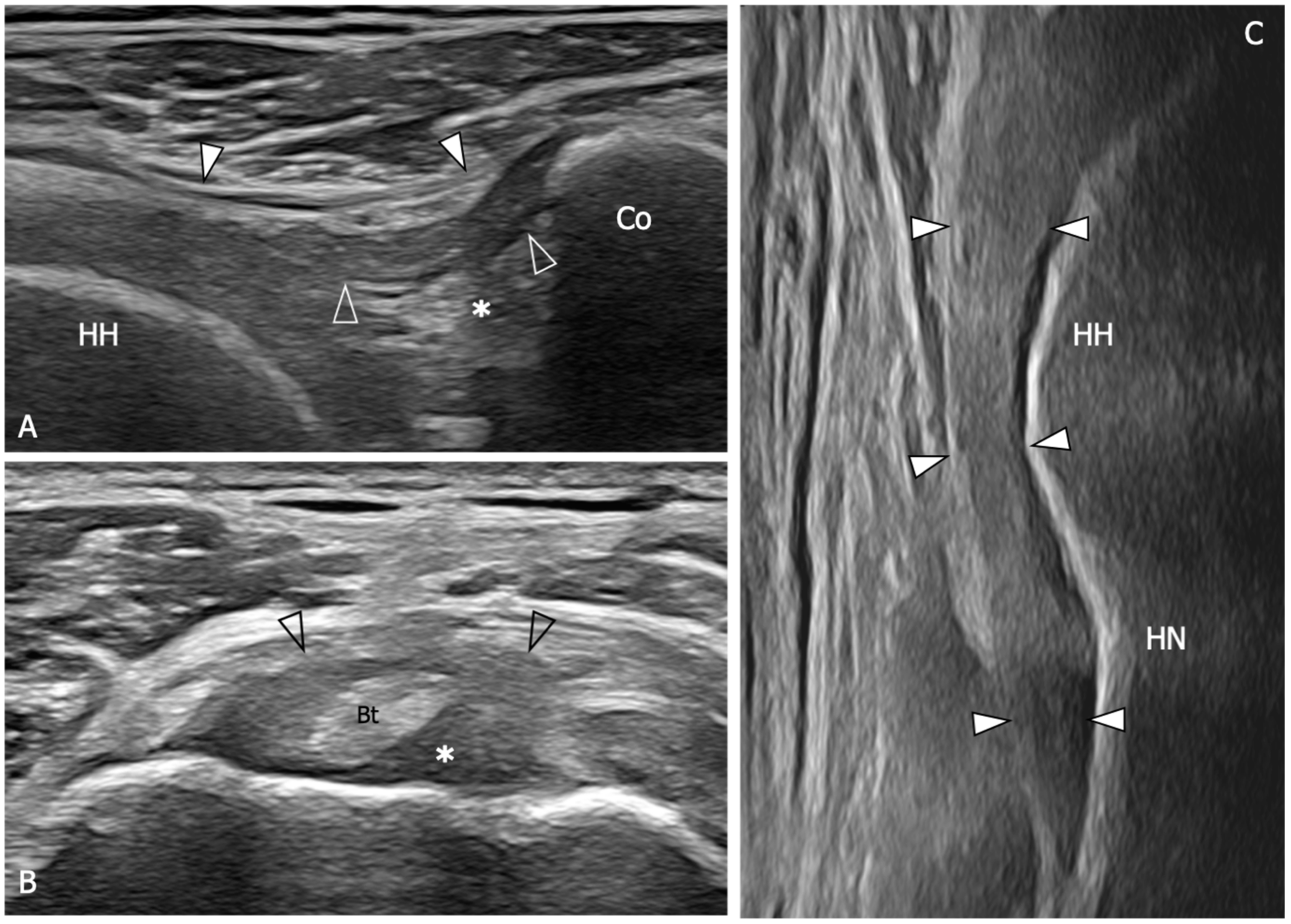 Diagnostics 13 03410 g006