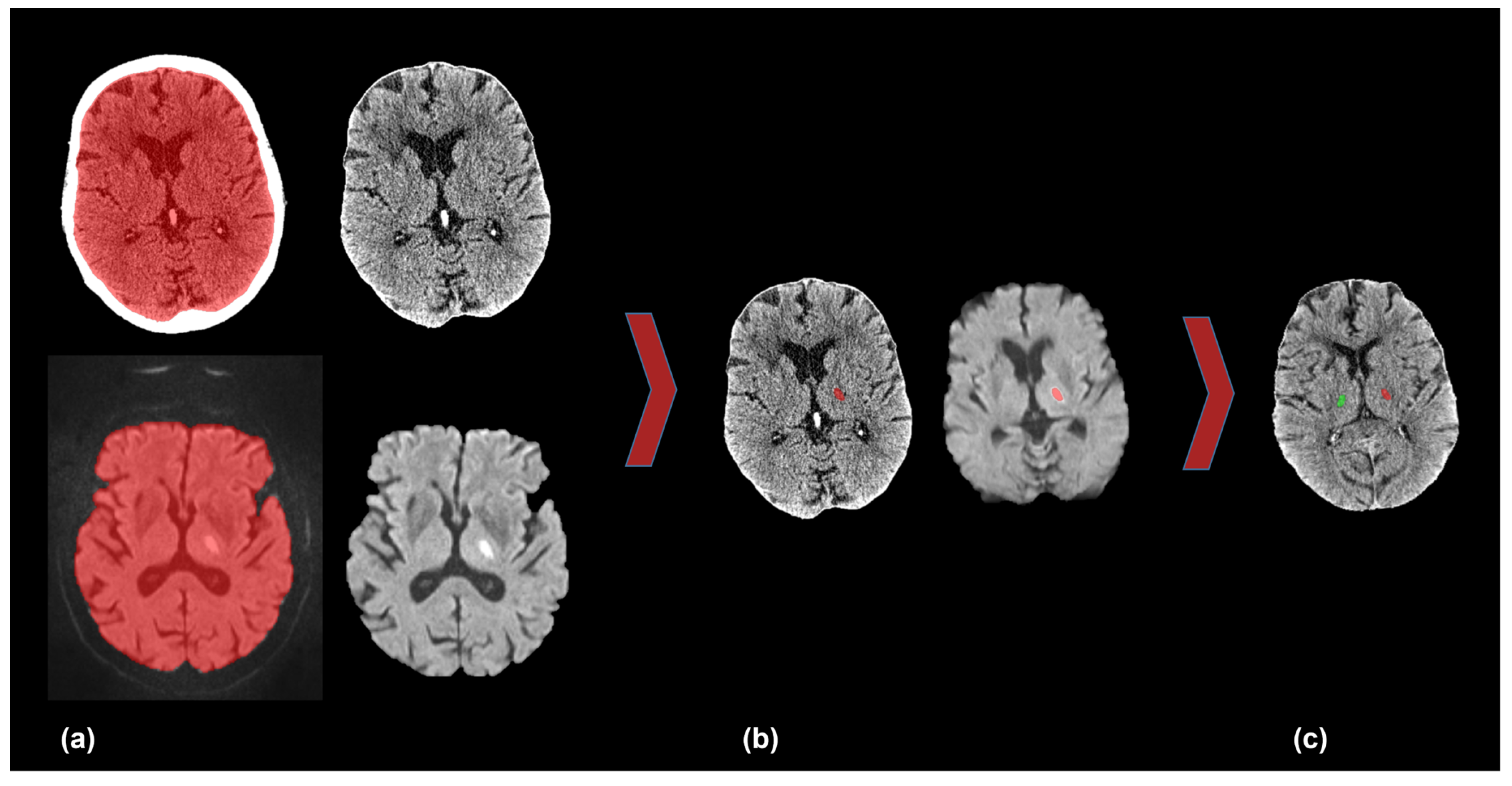 Diagnostics 13 03416 g001