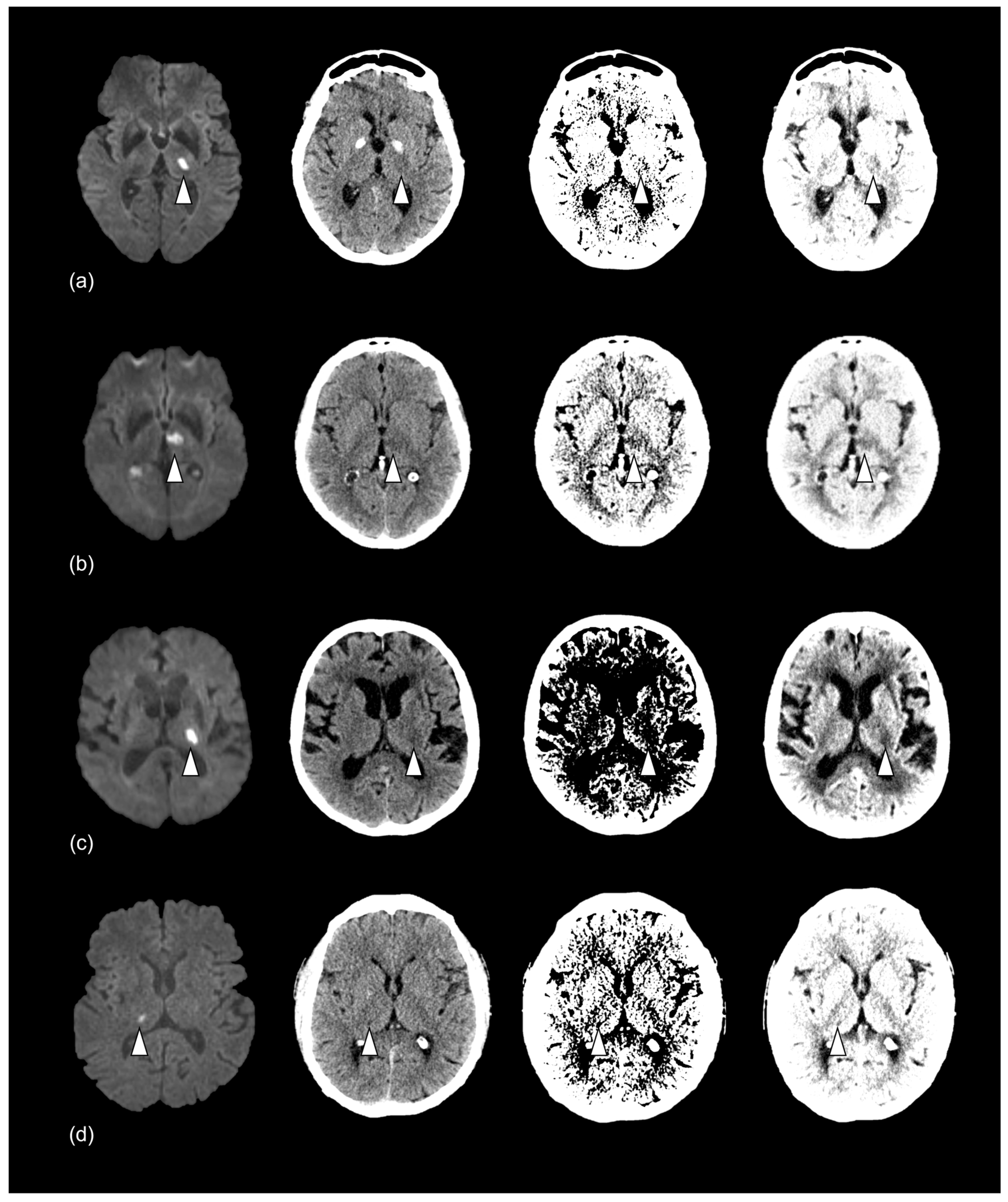Diagnostics 13 03416 g003